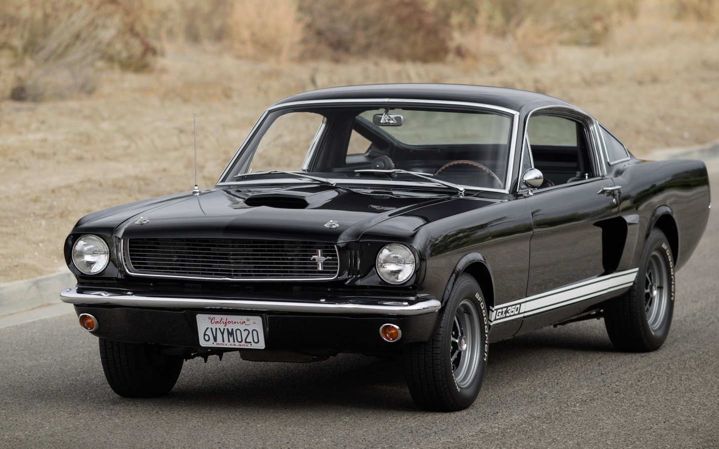 ford, mustang, gt350, 1966, 
