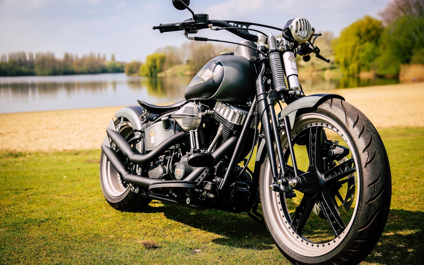 harley davidson, custom, thunderbike