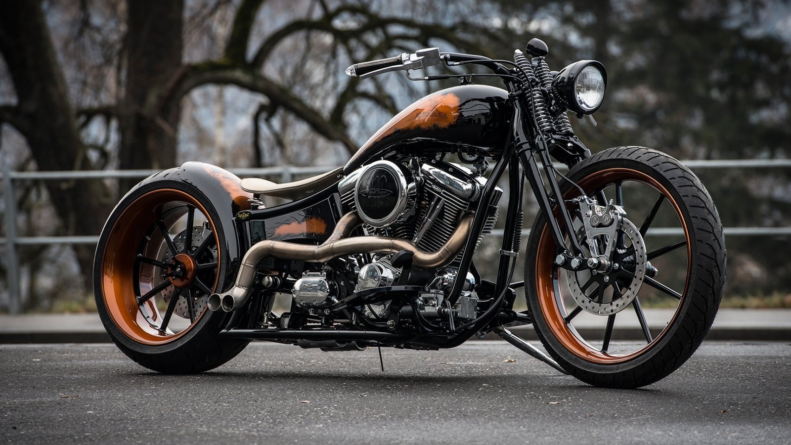 harley davidson, custom, thunderbike