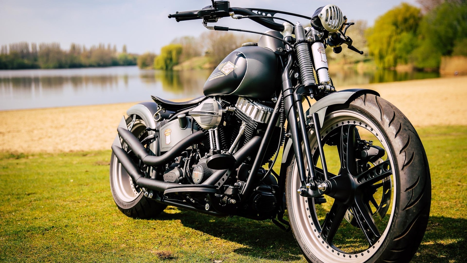 harley davidson, custom, thunderbike