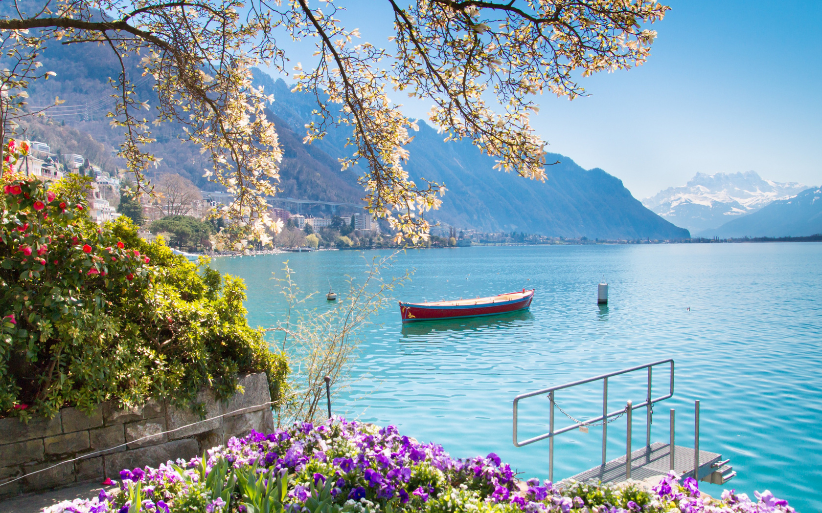 lake geneva, montreux, alps, morning, beautiful lake, flowers, mountain landscape, montreux cityscape, switzerland