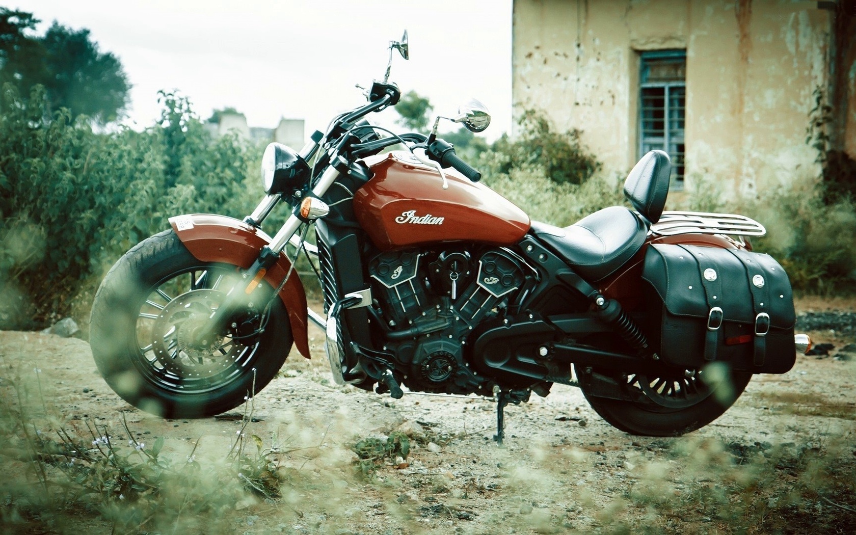 indian, scout, bike