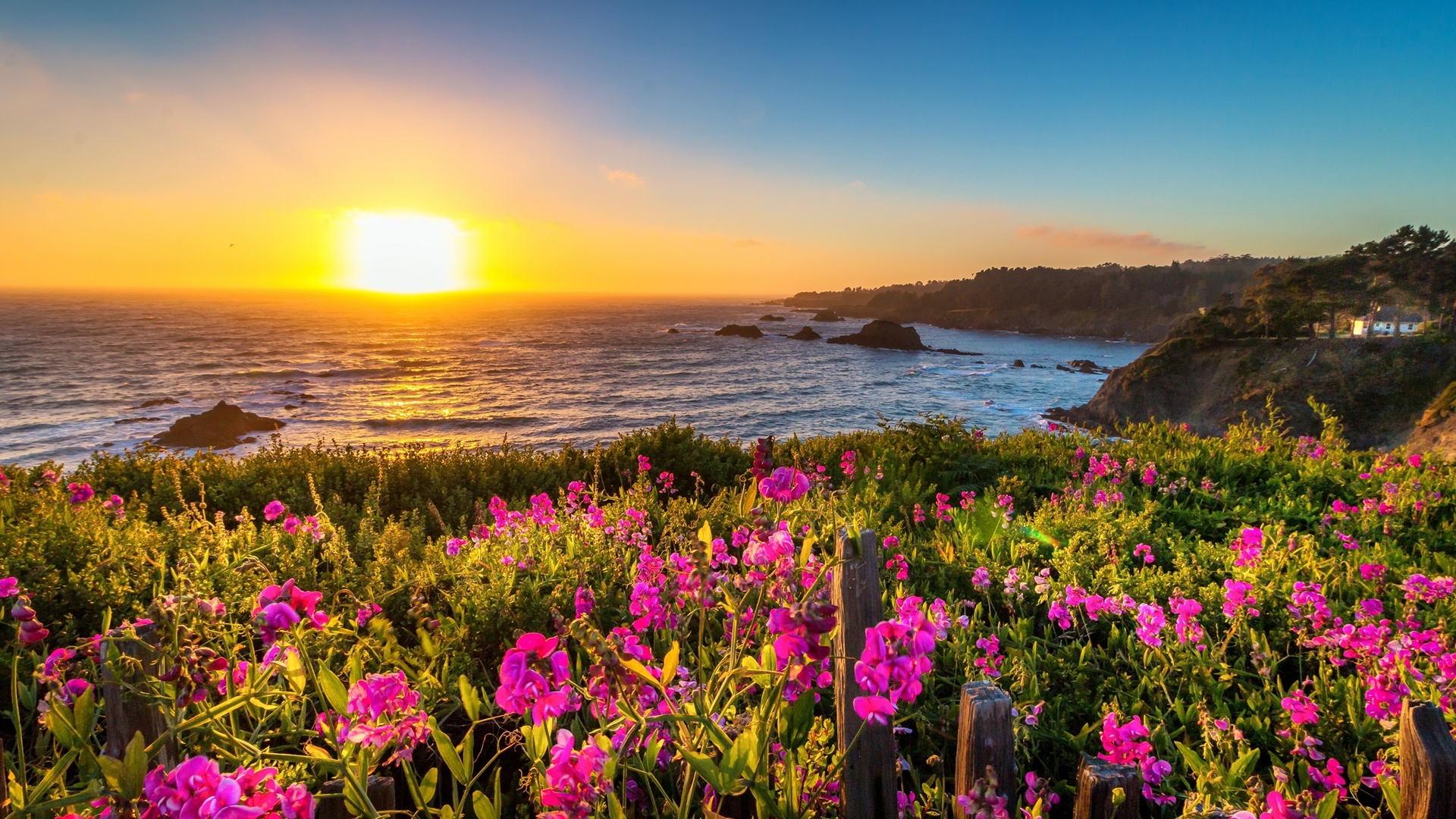 , mendocino, , , 