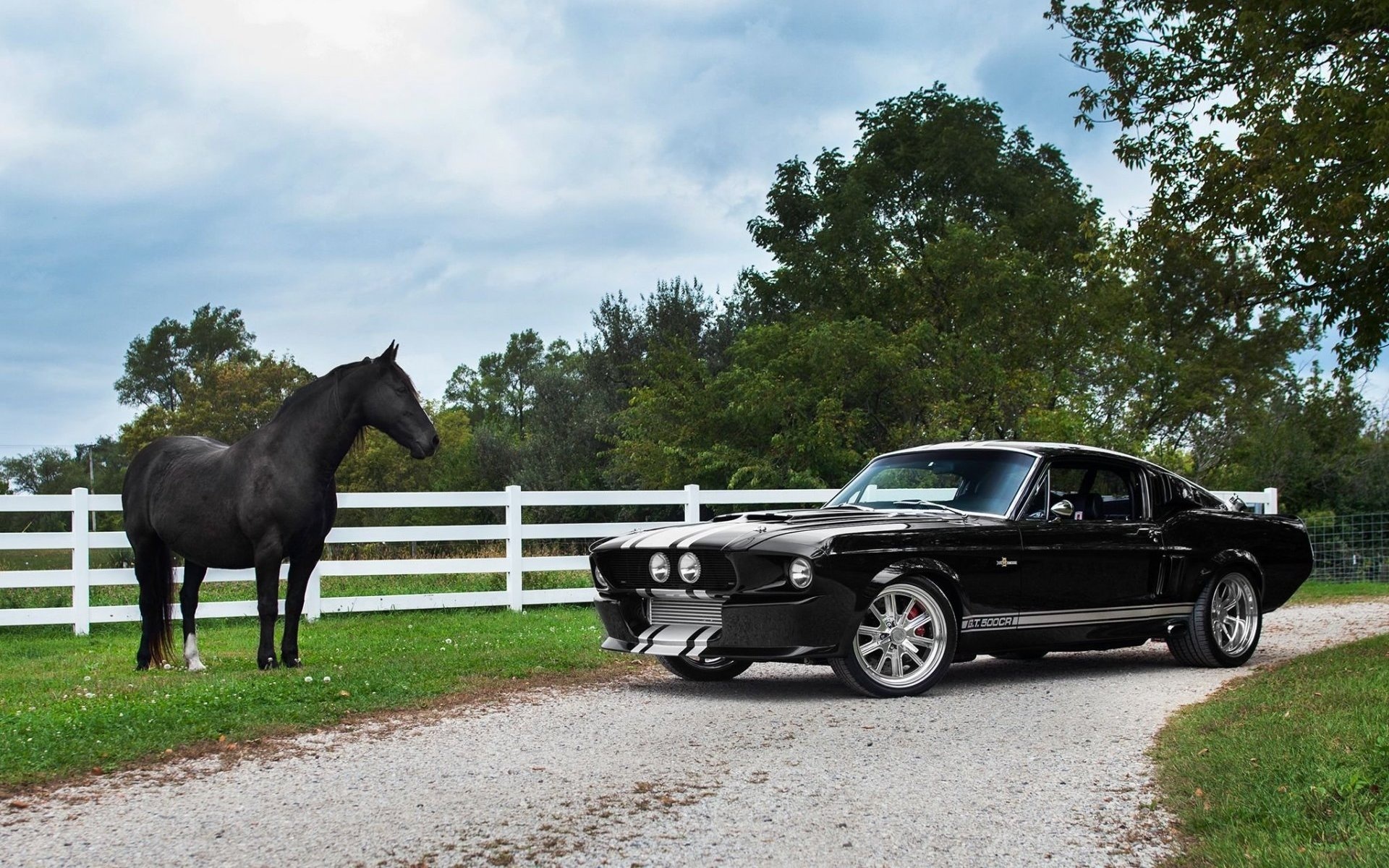 ford, mustang, 1969, , , 