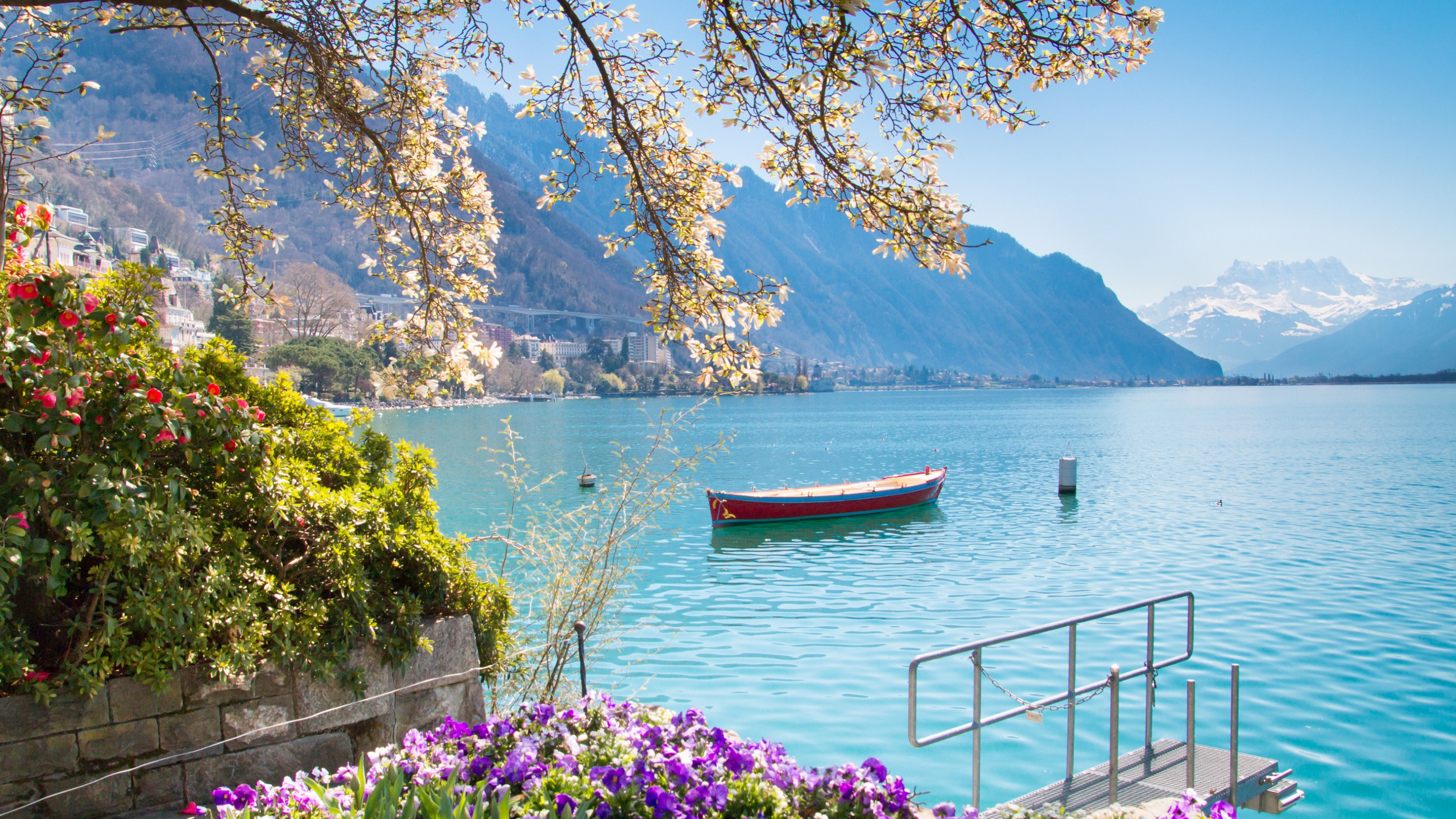 lake geneva, montreux, alps, morning, beautiful lake, flowers, mountain landscape, montreux cityscape, switzerland