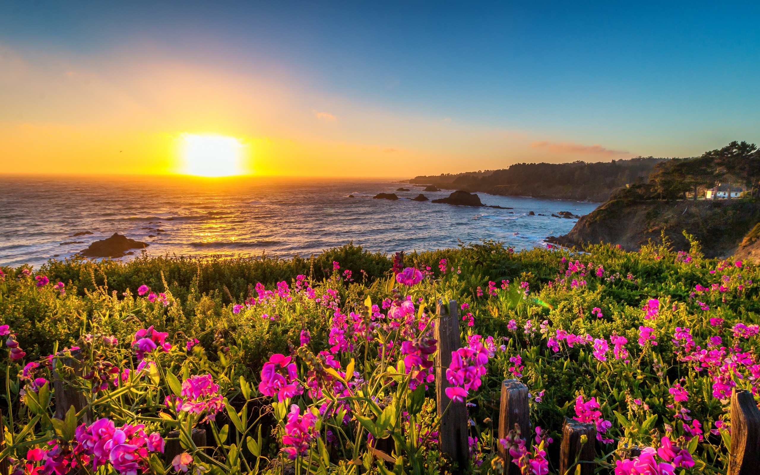 , mendocino, , , 