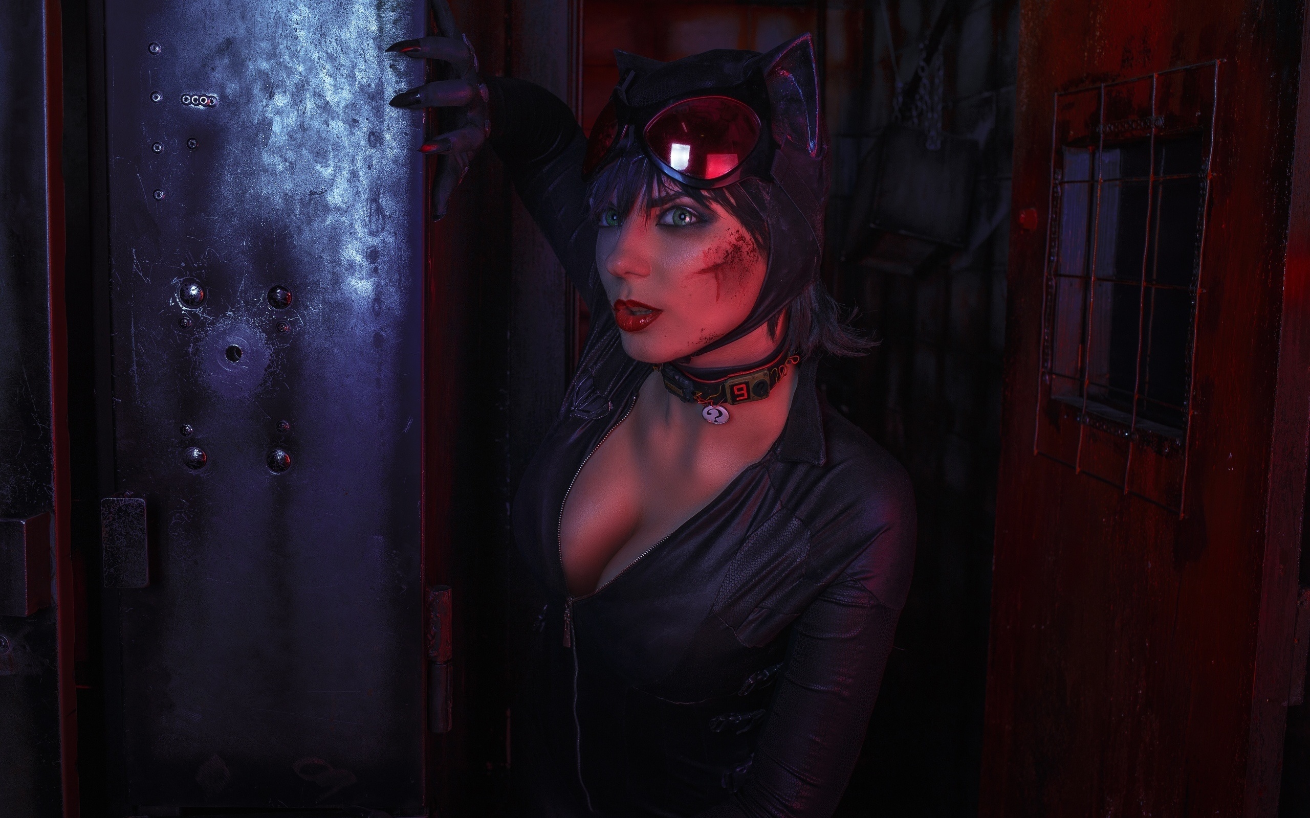 catwoman, cosplay, ds, ds comics, 