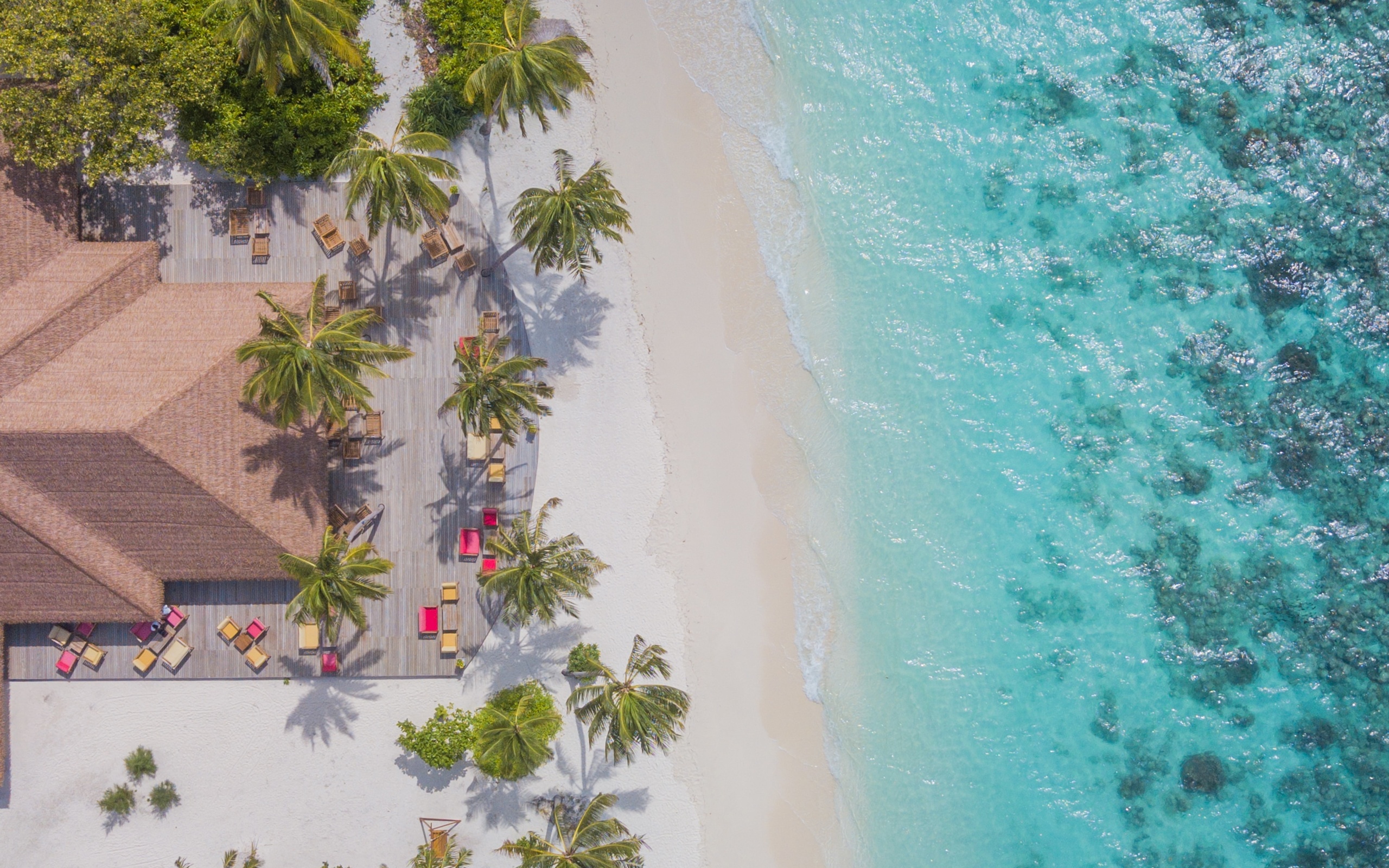maldives, beach aerial view, ocean, palm trees, top view, tropical island