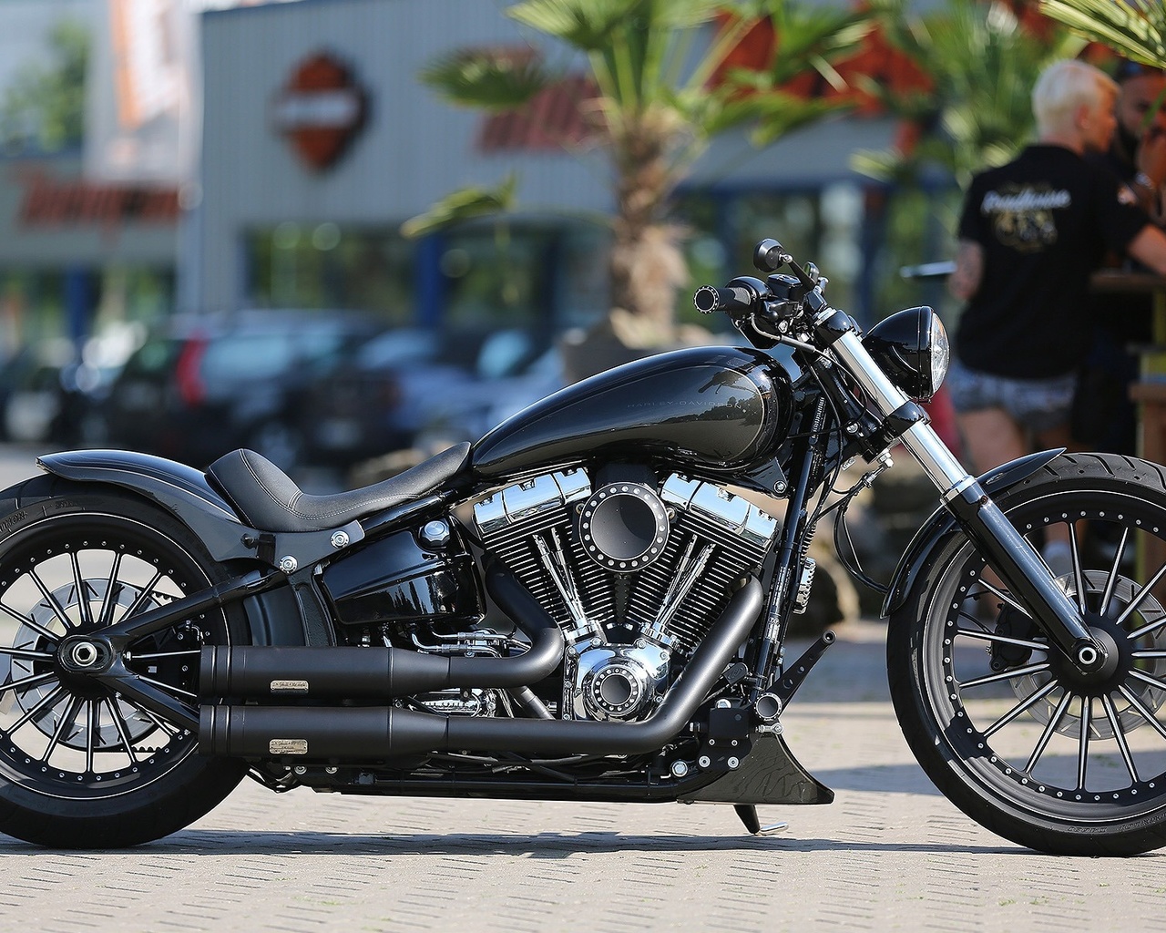 harley davidson, custom, thunderbike