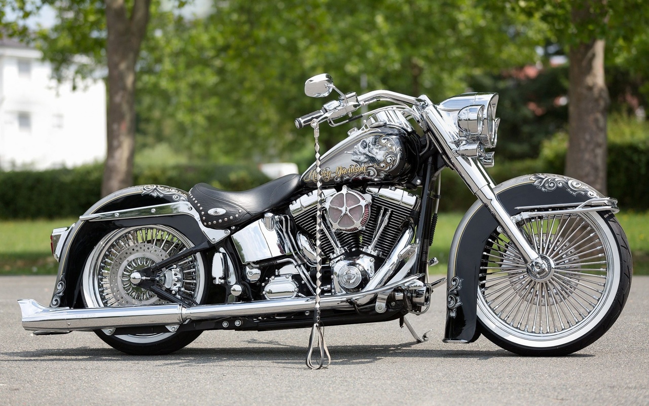 harley davidson, custom, thunderbike