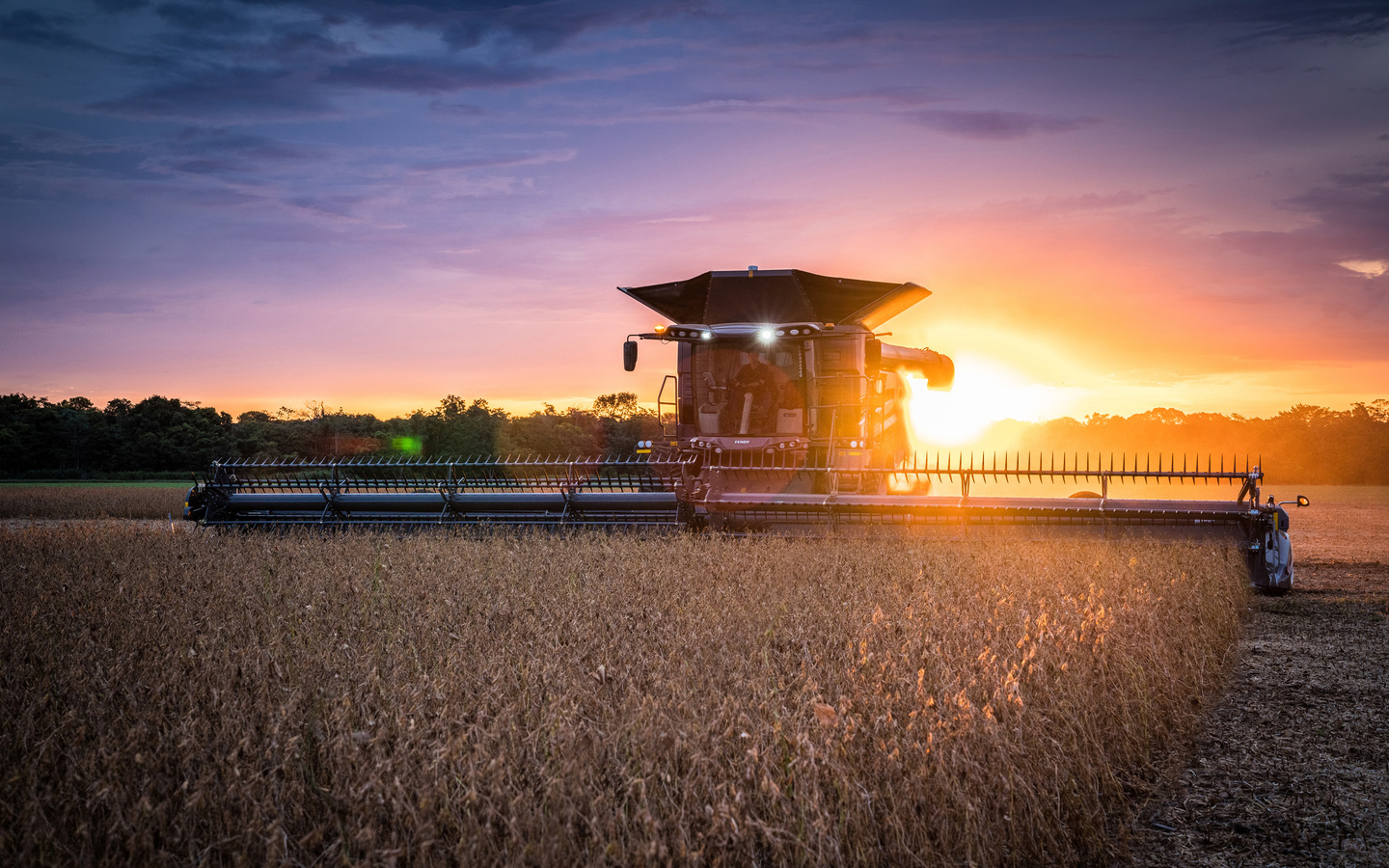 fendt ideal, 4k, wheat harvesting, 2020 combines, combine, sunset, , , , 