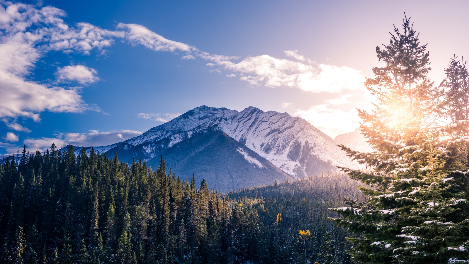 canada, sunlight, snowline, clouds, sky, trees, banff, national park