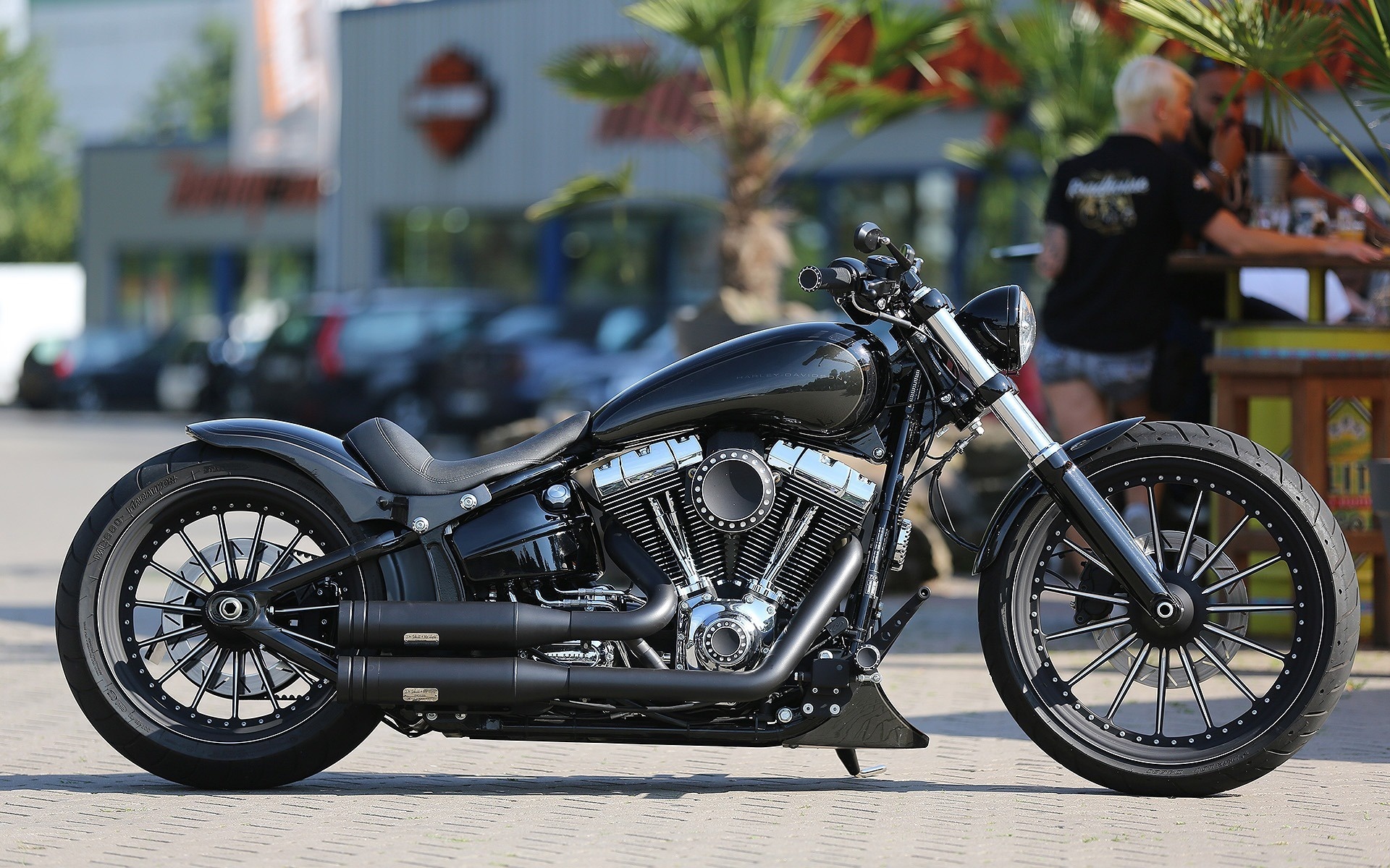 harley davidson, custom, thunderbike