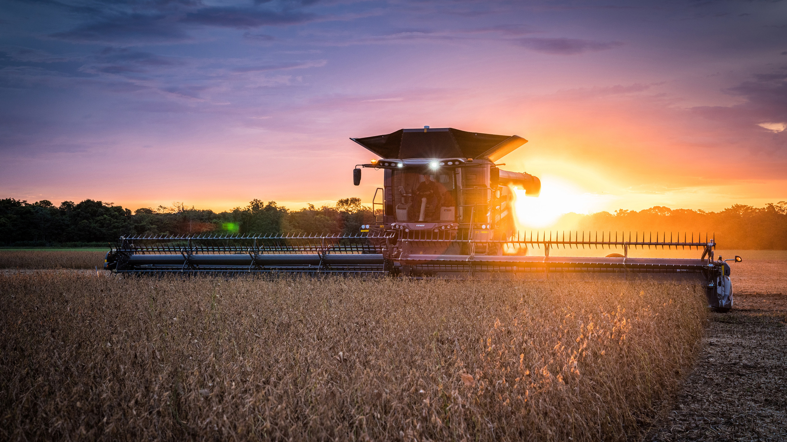 fendt ideal, 4k, wheat harvesting, 2020 combines, combine, sunset, , , , 