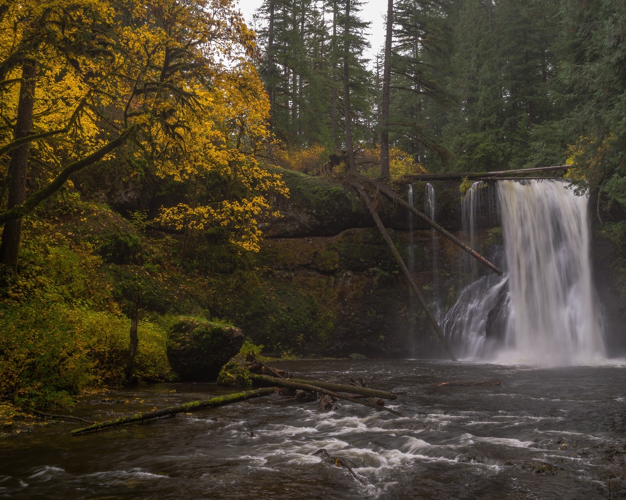 , , , oregon, silver falls state park, upper north falls, silver, creek, , 