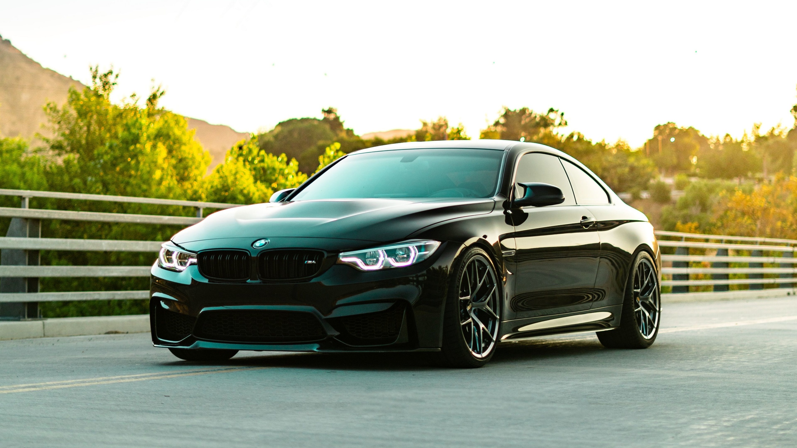 bmw, m4, f82