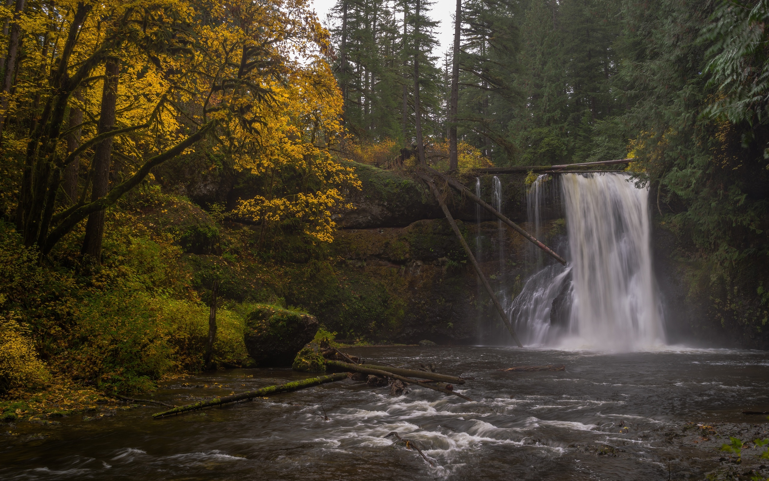 , , , oregon, silver falls state park, upper north falls, silver, creek, , 