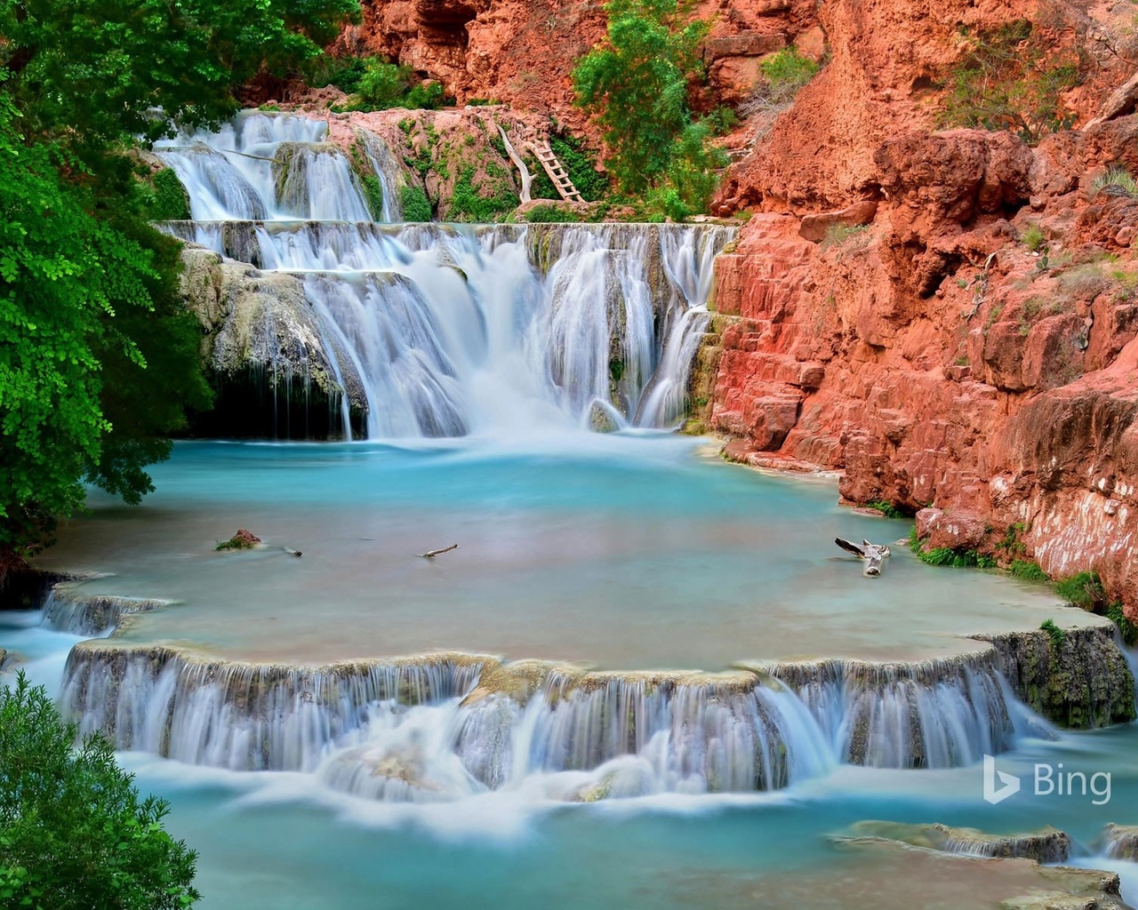 , bing, , , havasu greek,grand canyon,arizona,,edwin verin,,,