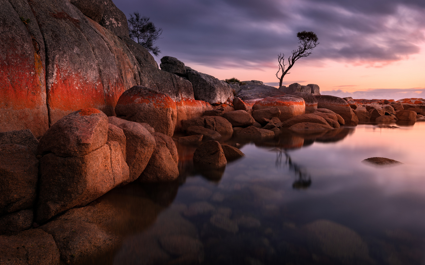 , , , bay of fires, , , 