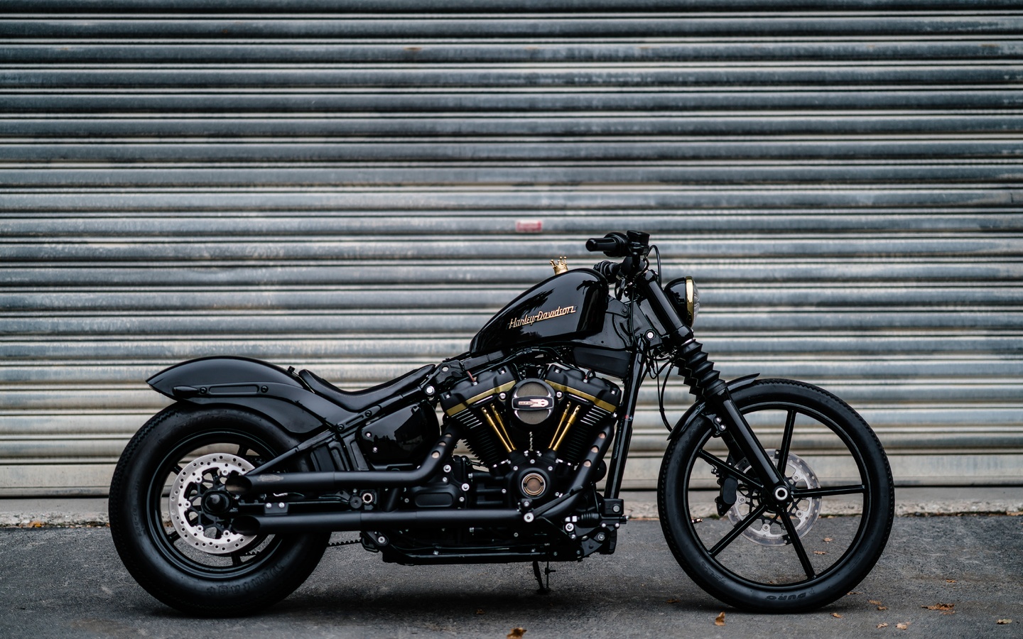 harley davidson, black, 