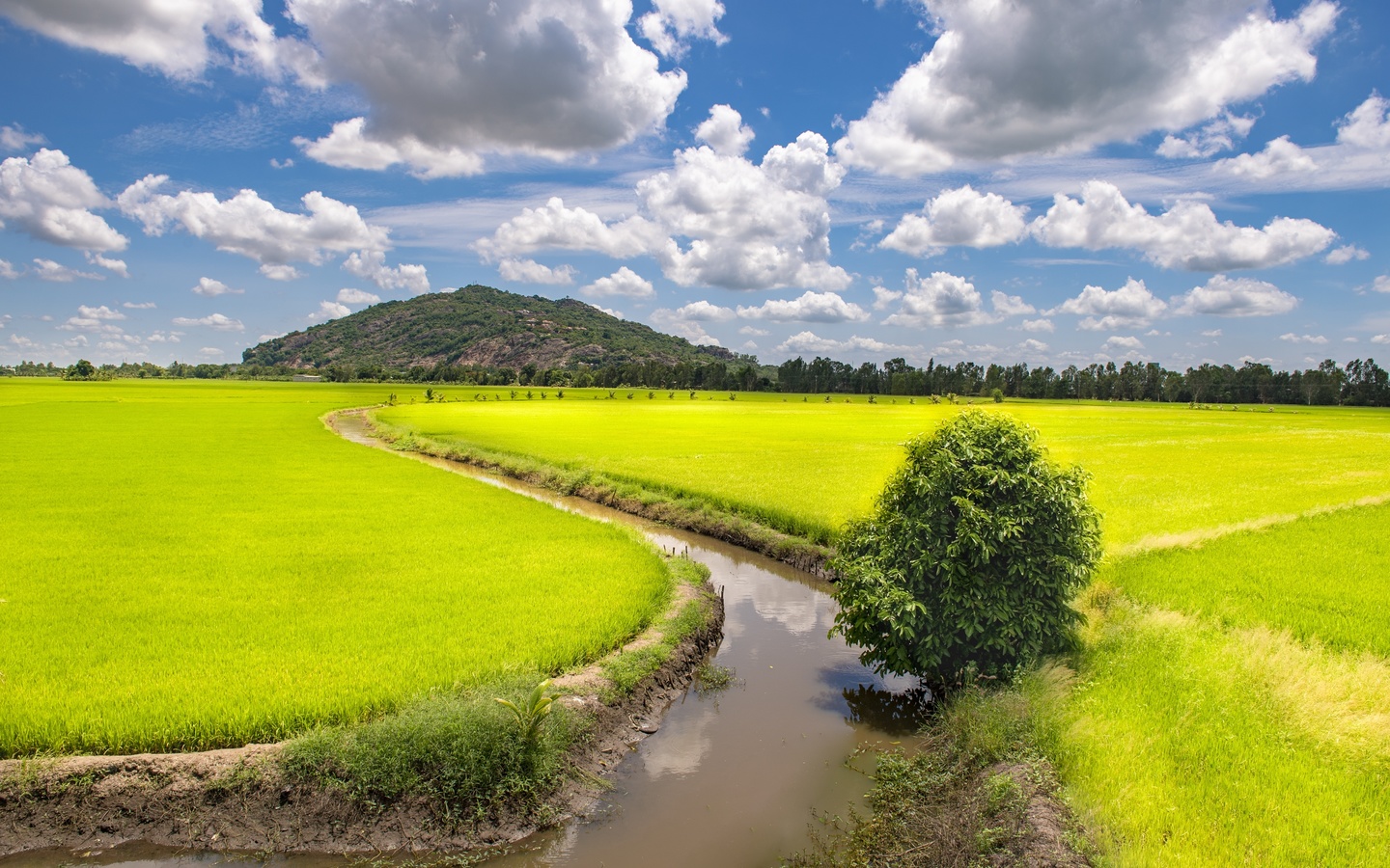 , , trung khanh, district, cao bang, province,  , , 