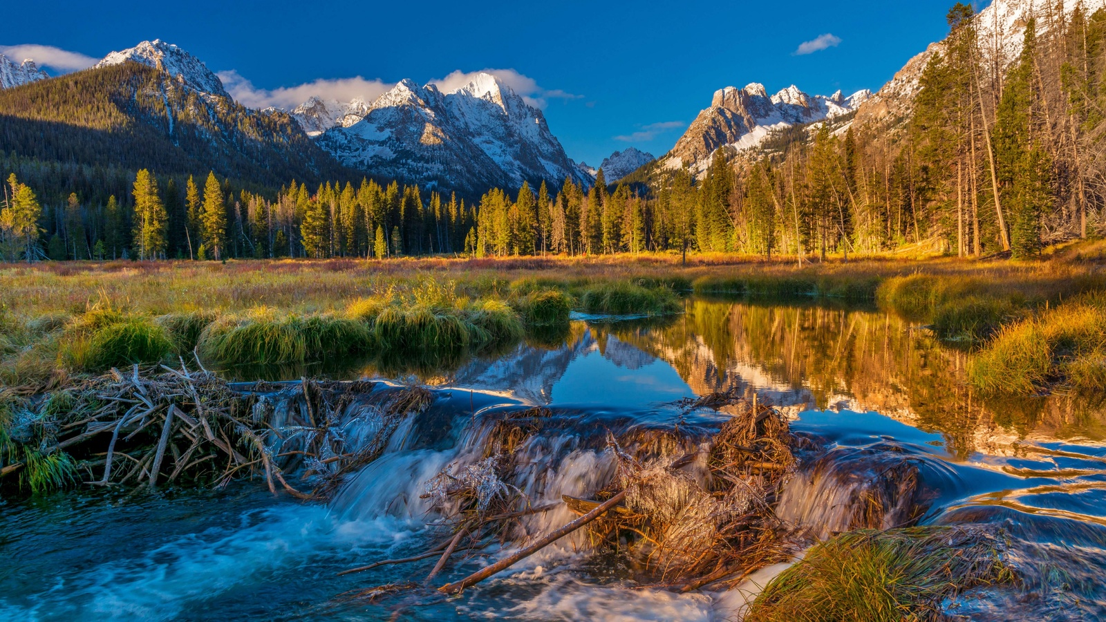 , , , , sawtooth national, forest, , 