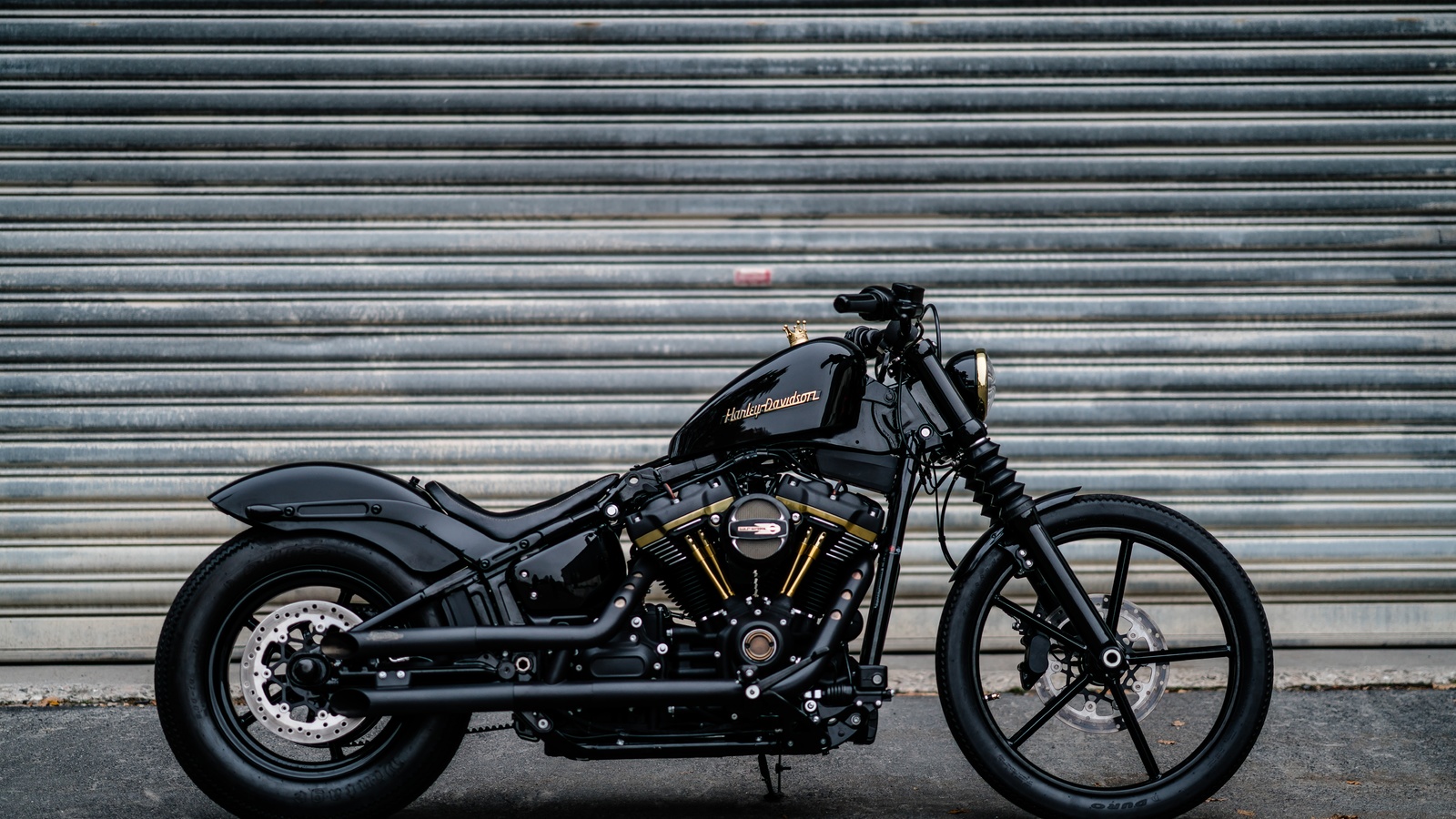 harley davidson, black, 