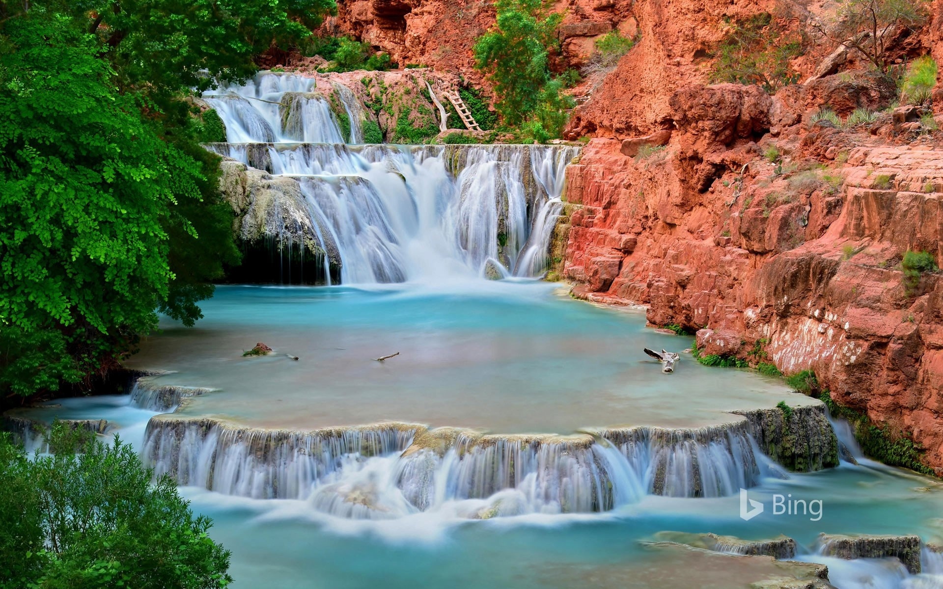 , bing, , , havasu greek,grand canyon,arizona,,edwin verin,,,