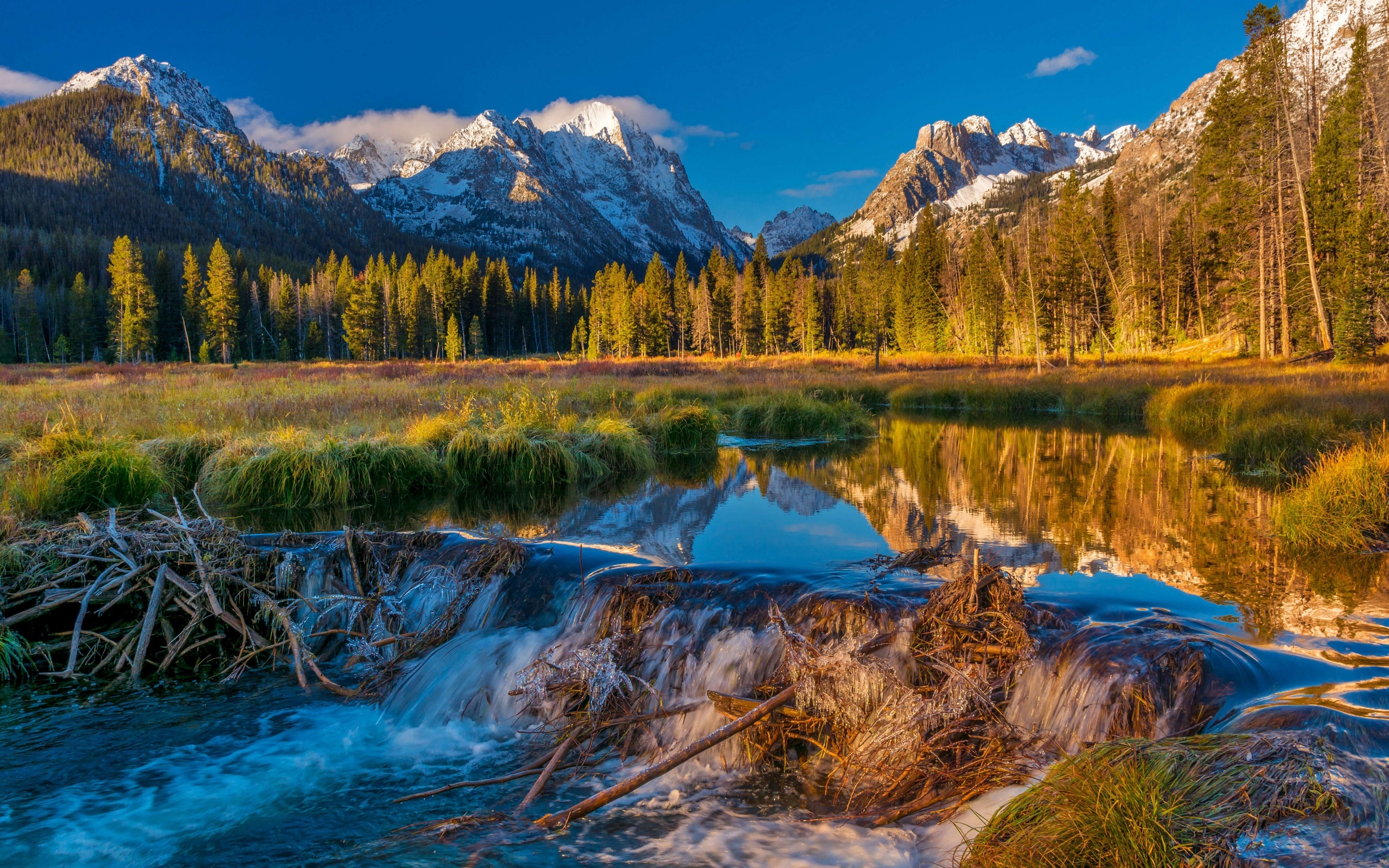 , , , , sawtooth national, forest, , 