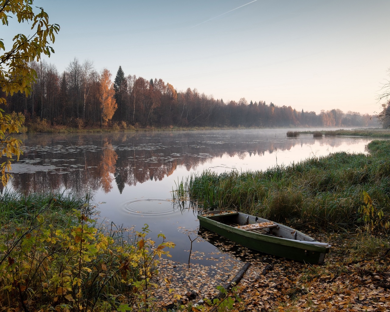 , , , , , lake, artyomovskoe, 