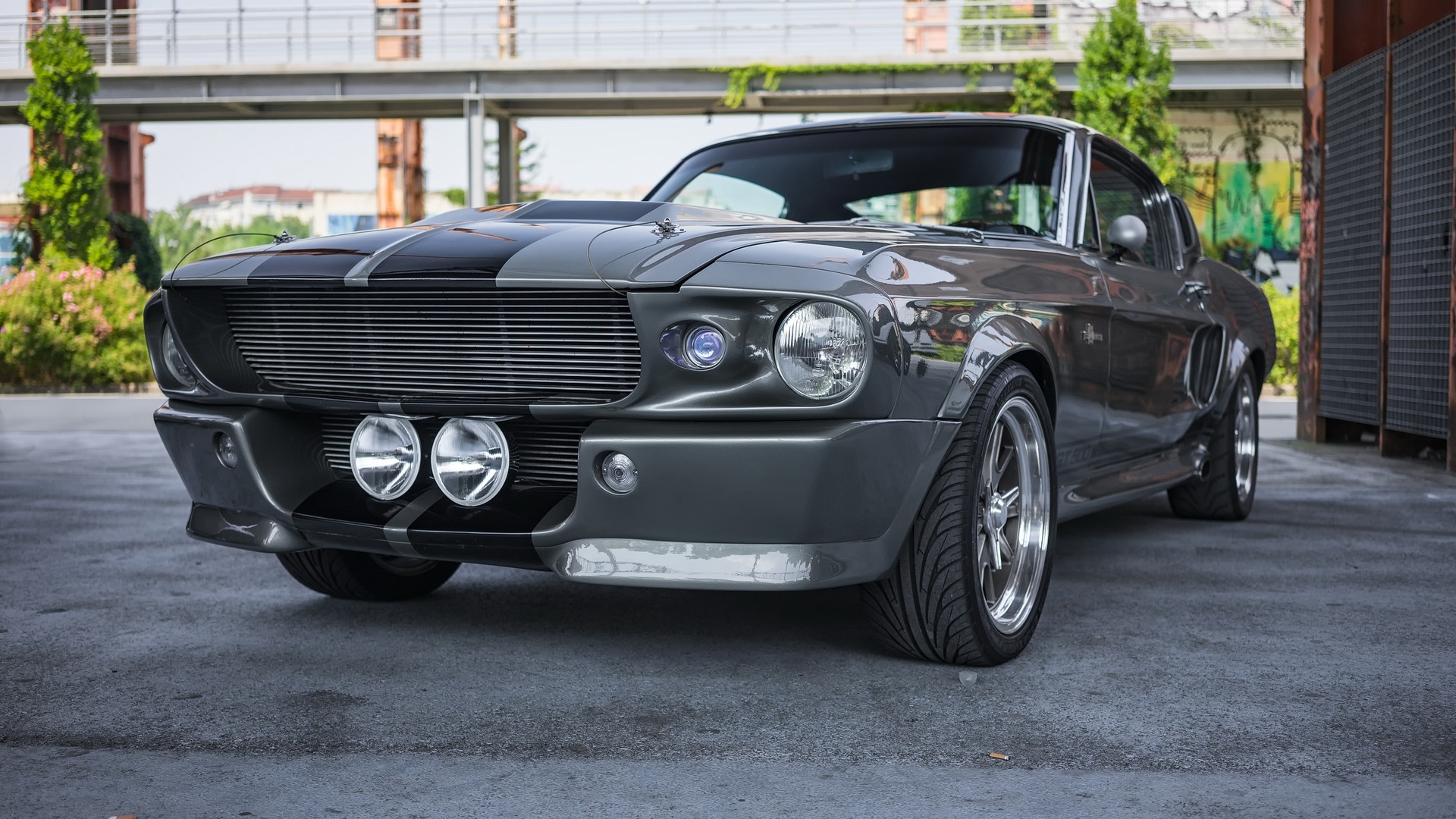 ford, mustang, shelby, 1967, fastback, elenor, 