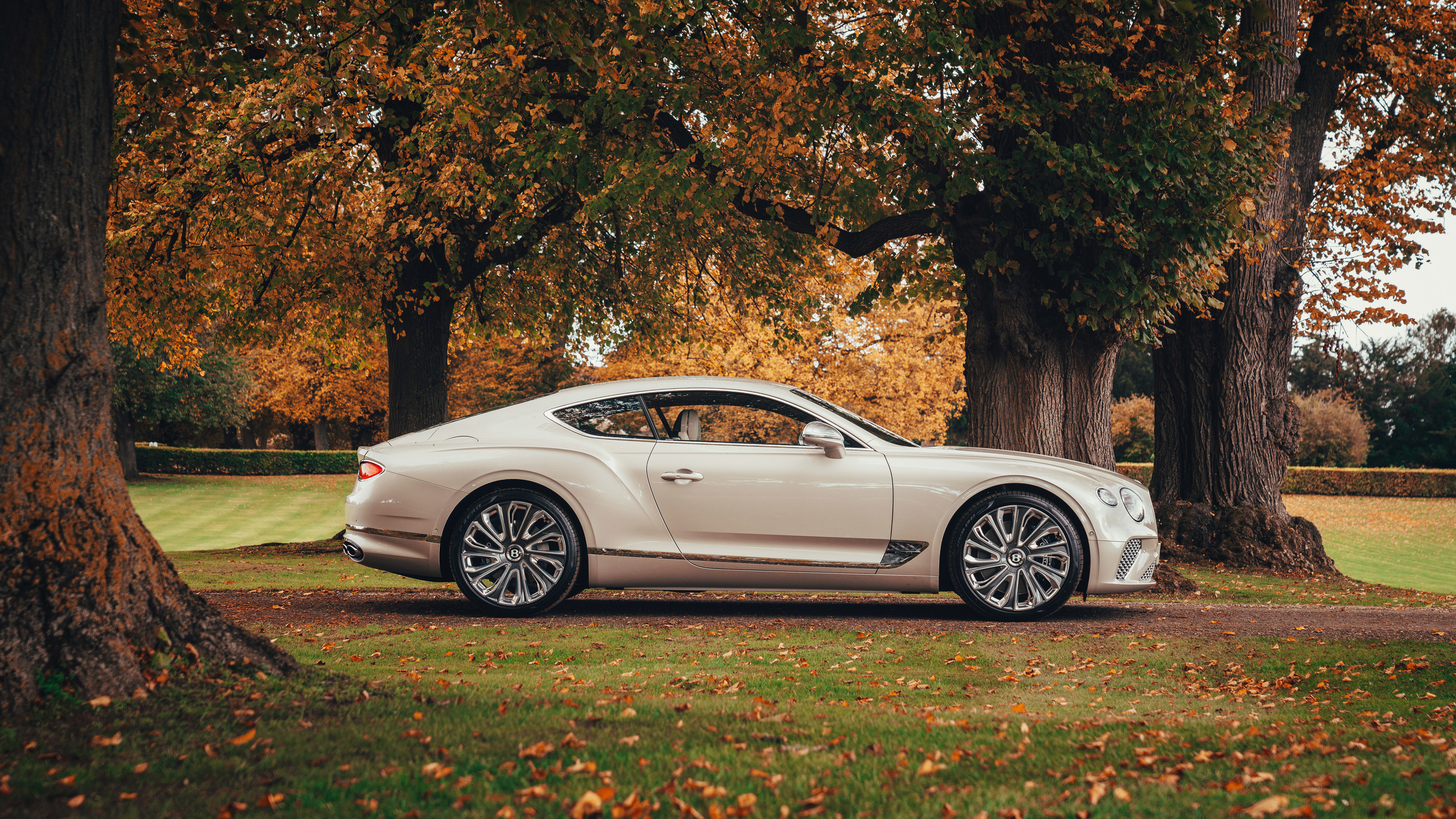 bentley, continental, 