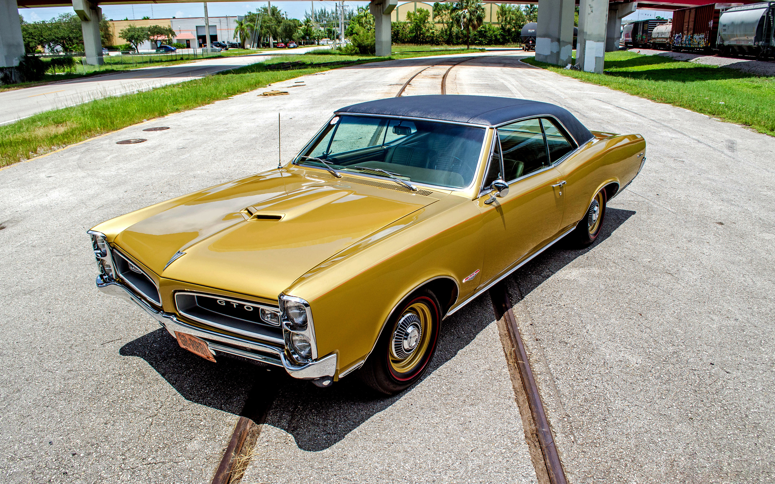 pontiac, gto, 1966