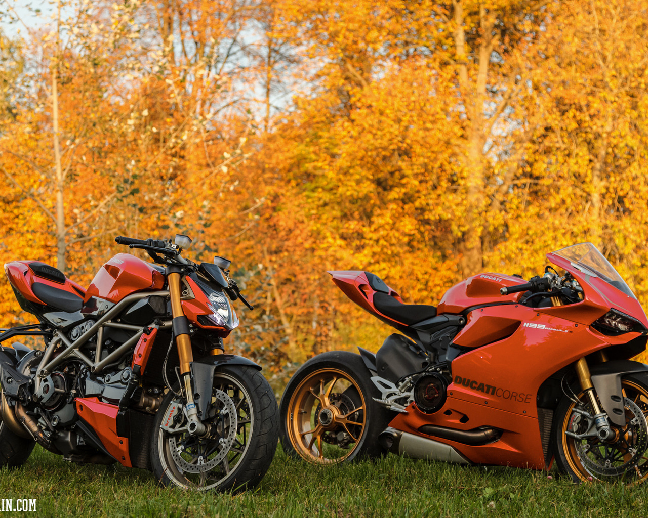 500px, motorcycle, fall, leaves, orange, ducati 1199 panigale, ducati streetfighter s