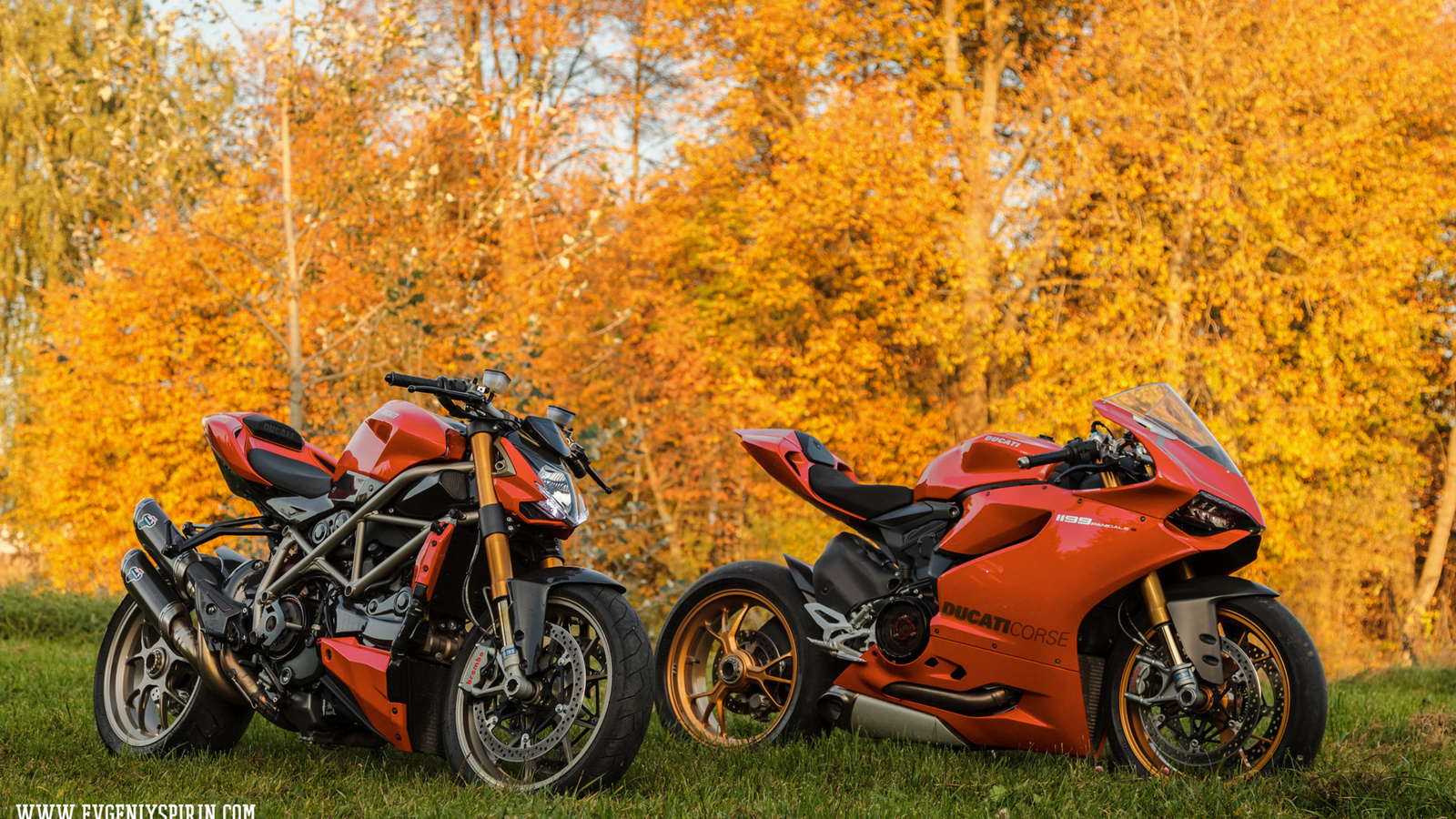 500px, motorcycle, fall, leaves, orange, ducati 1199 panigale, ducati streetfighter s