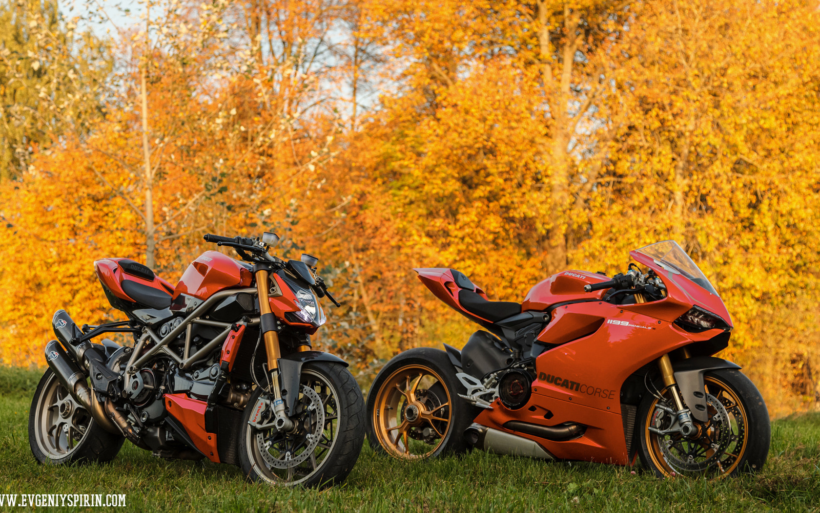 500px, motorcycle, fall, leaves, orange, ducati 1199 panigale, ducati streetfighter s