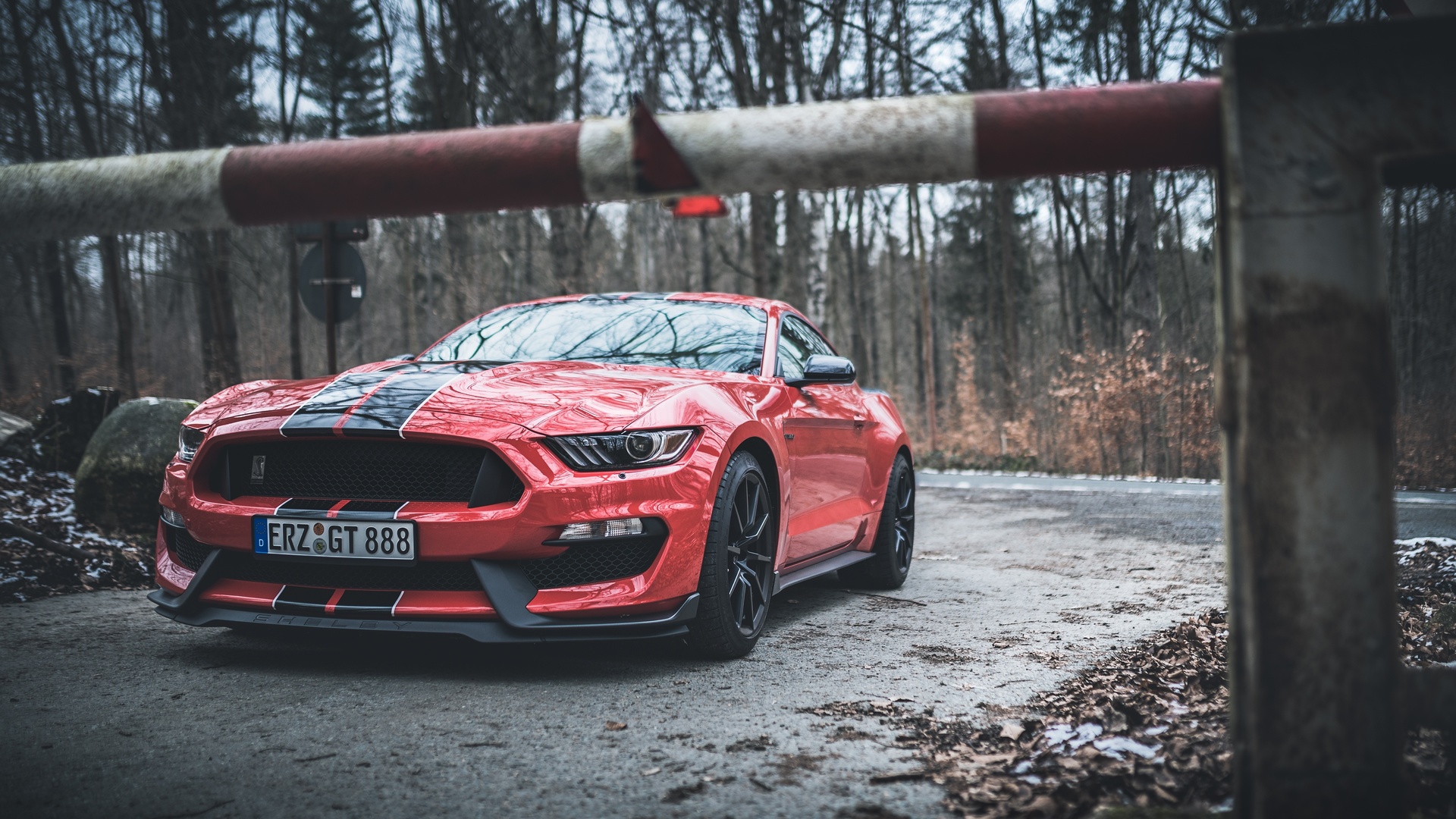 ford, mustang, shelby, gt350