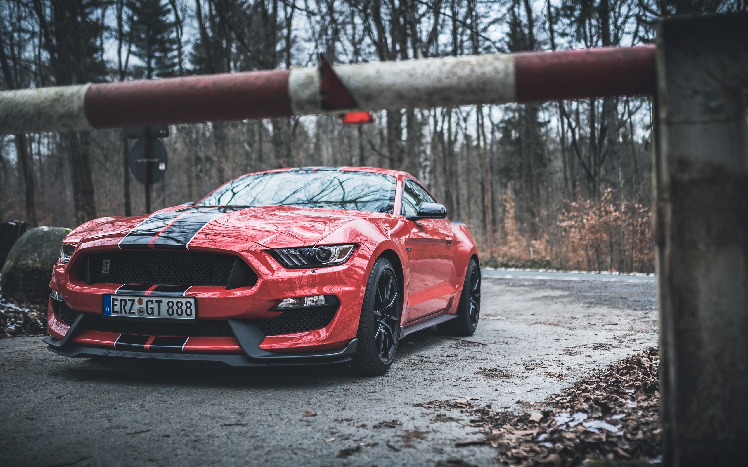 ford, mustang, shelby, gt350