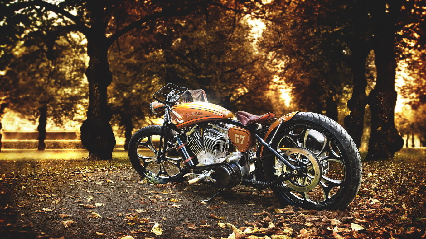 harley davidson, , 