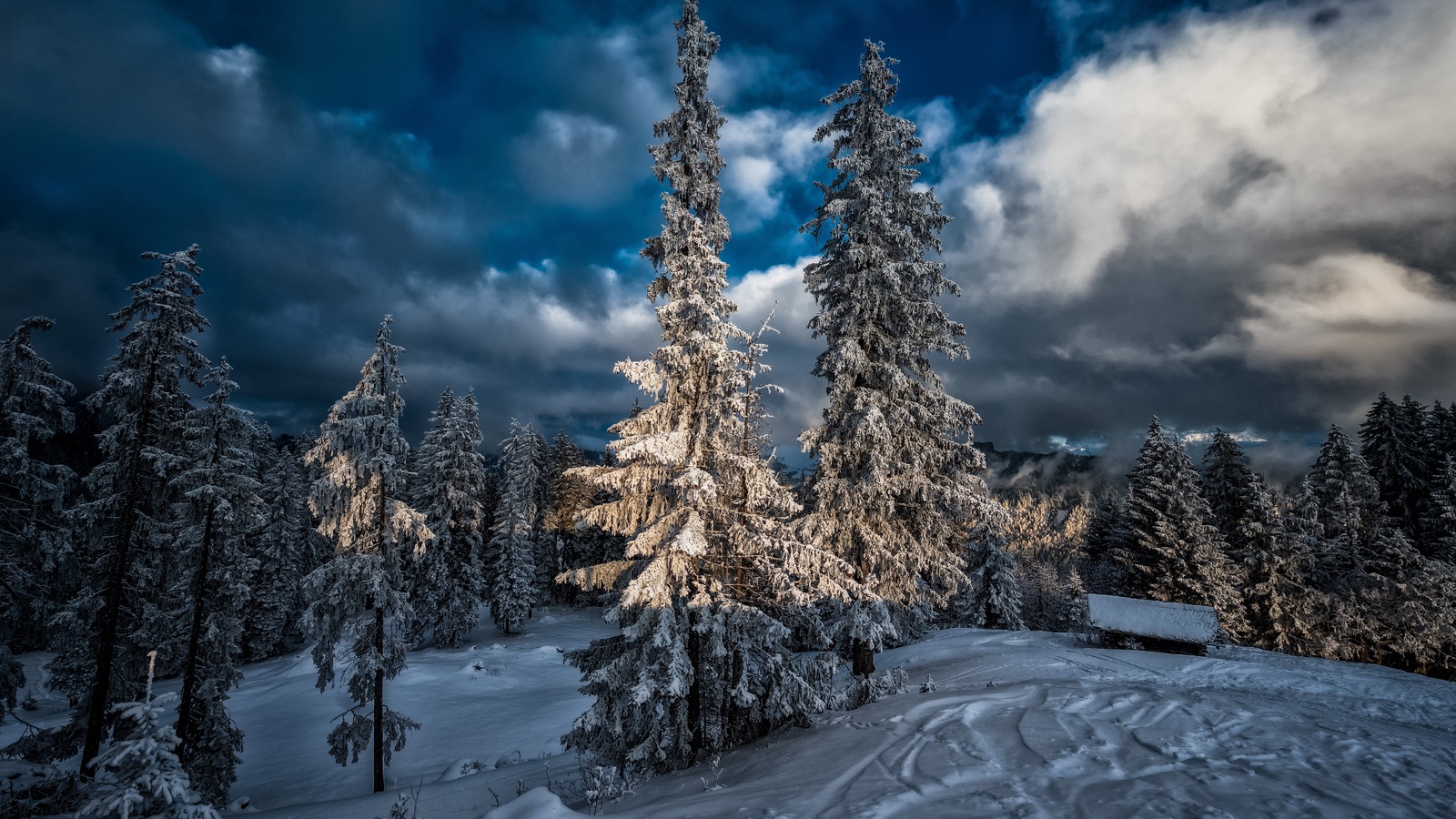 швейцария, природа, пейзаж, деревья, ели, зима, снег, тучи