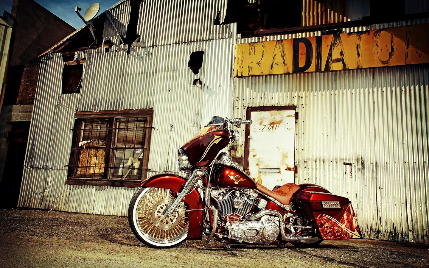 harley davidson, , , custom