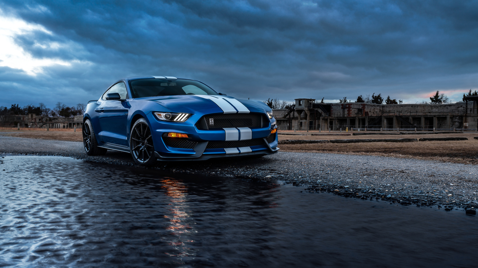 , , , ford mustang, ford mustang shelby gt500