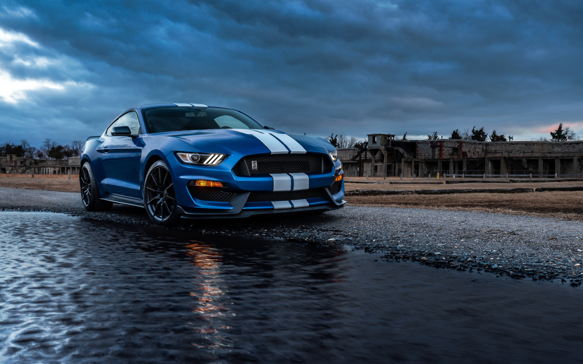, , , ford mustang, ford mustang shelby gt500