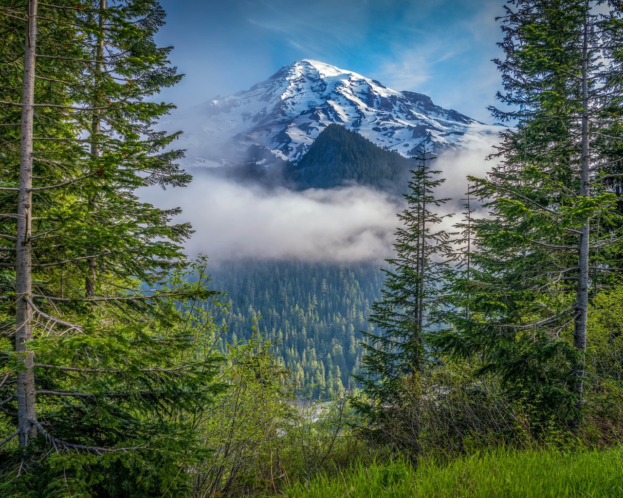 , , mount, rainier, national park, , , , 