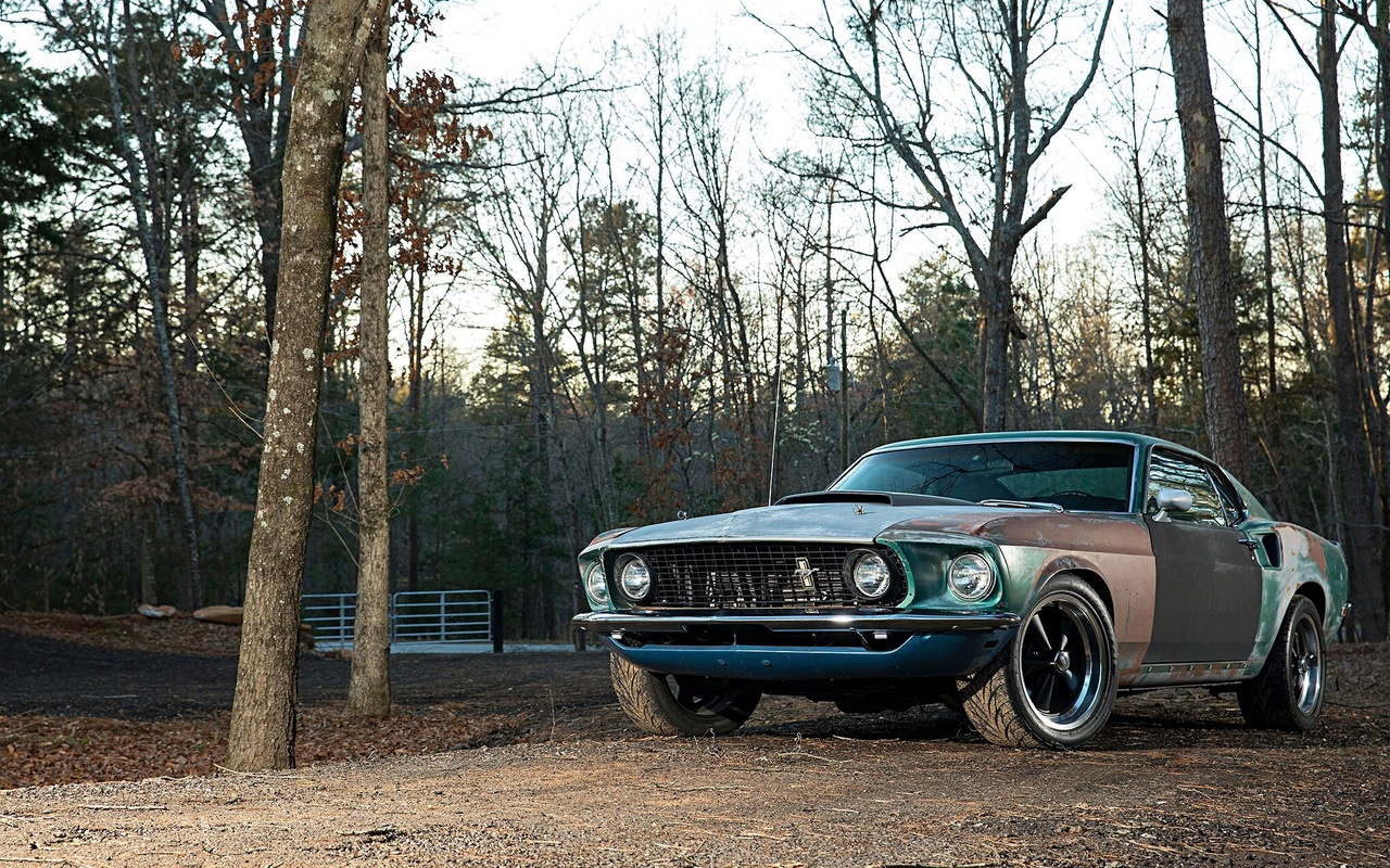 ford, mustang, boss, 302