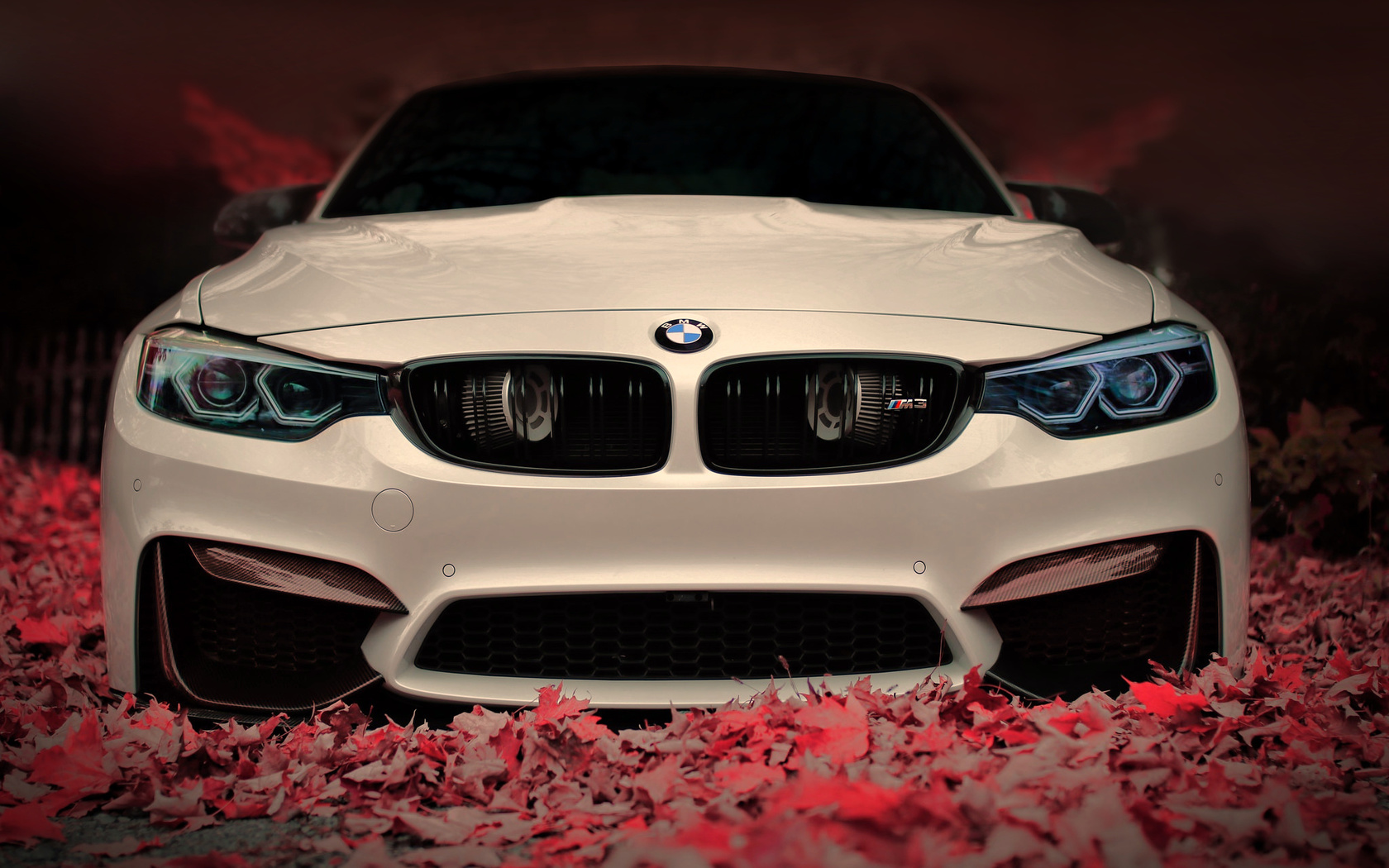 , bmw, 