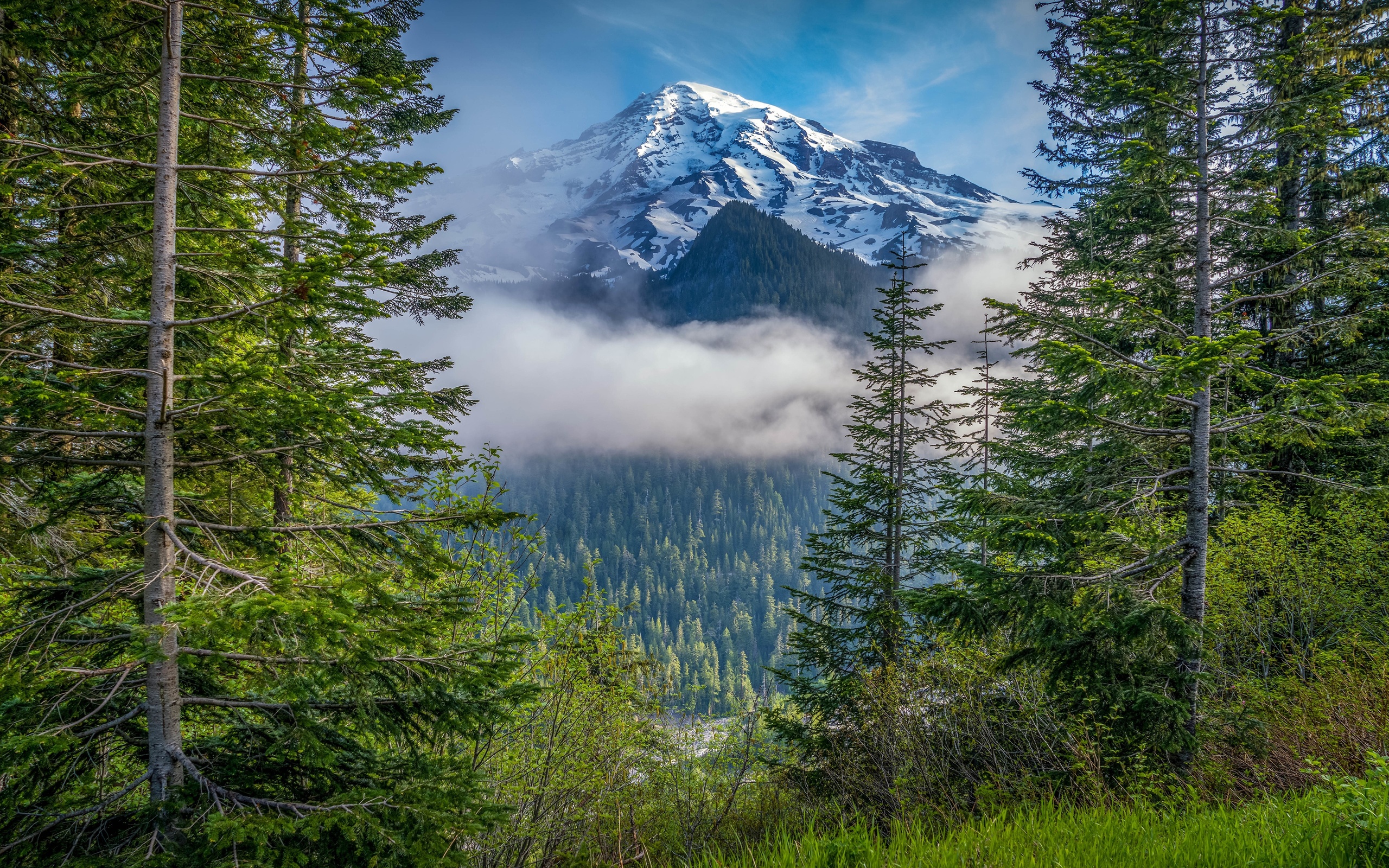 , , mount, rainier, national park, , , , 