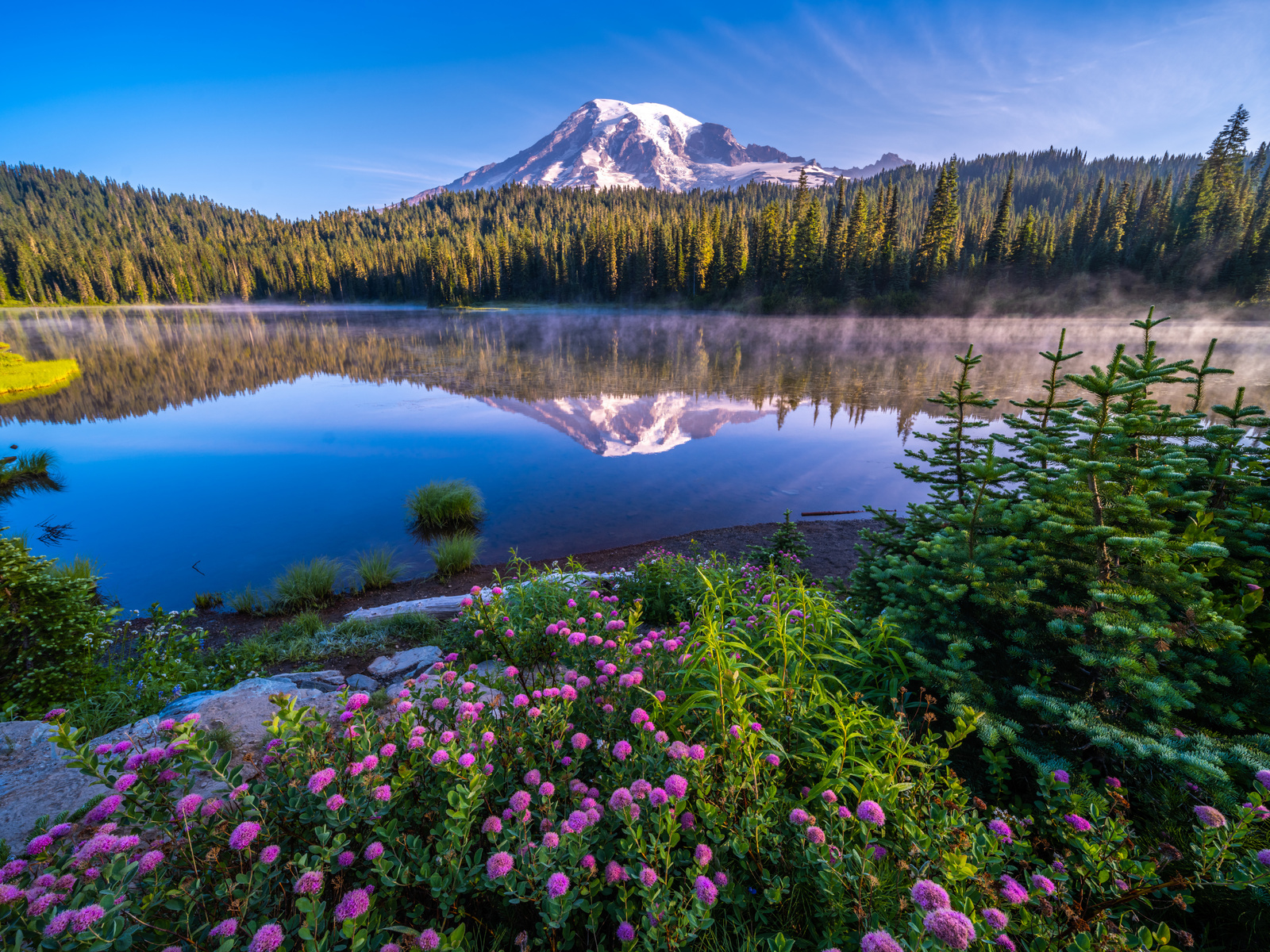 , , , mount rainier, national park, , , 