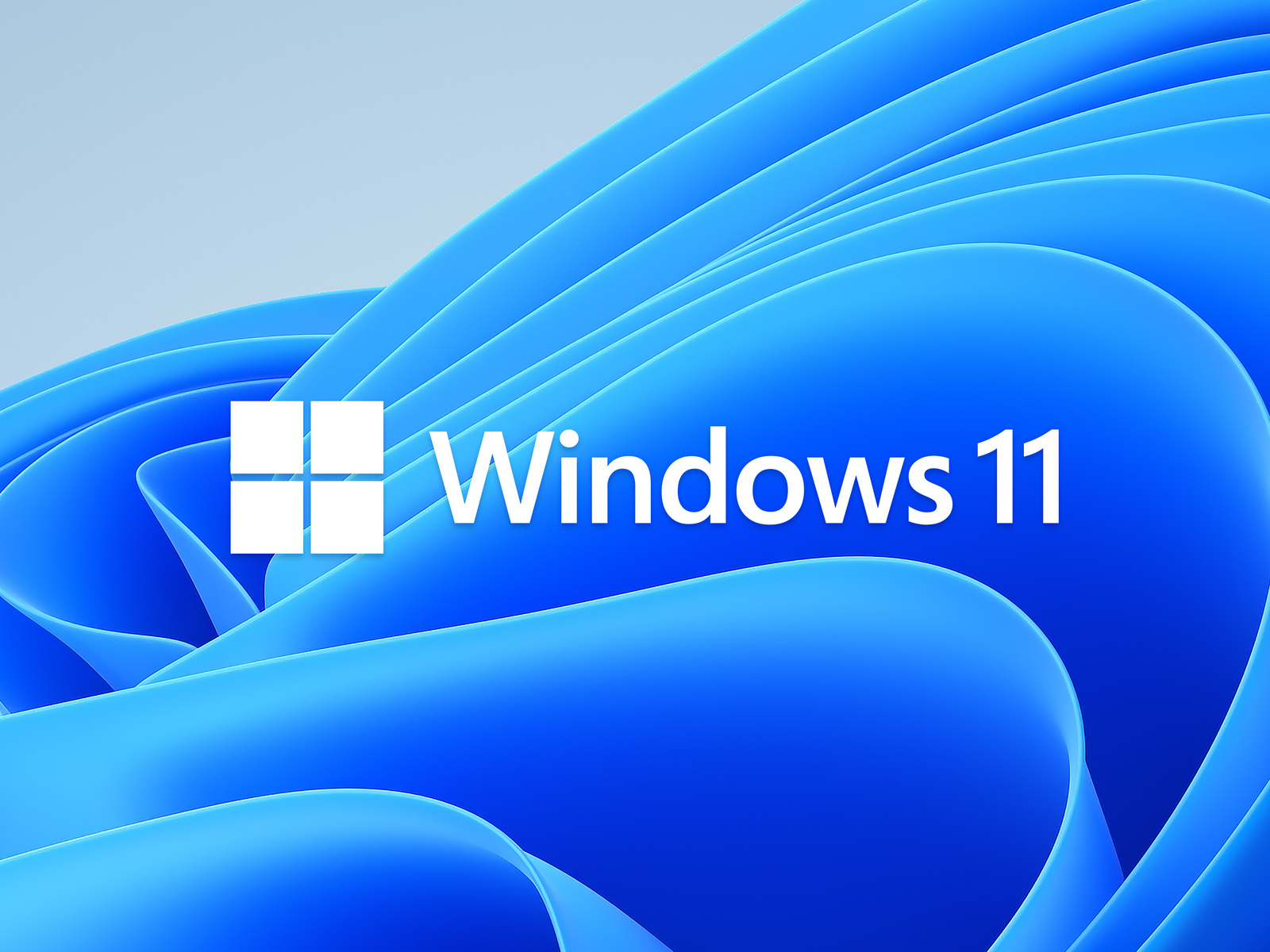 windows, 11