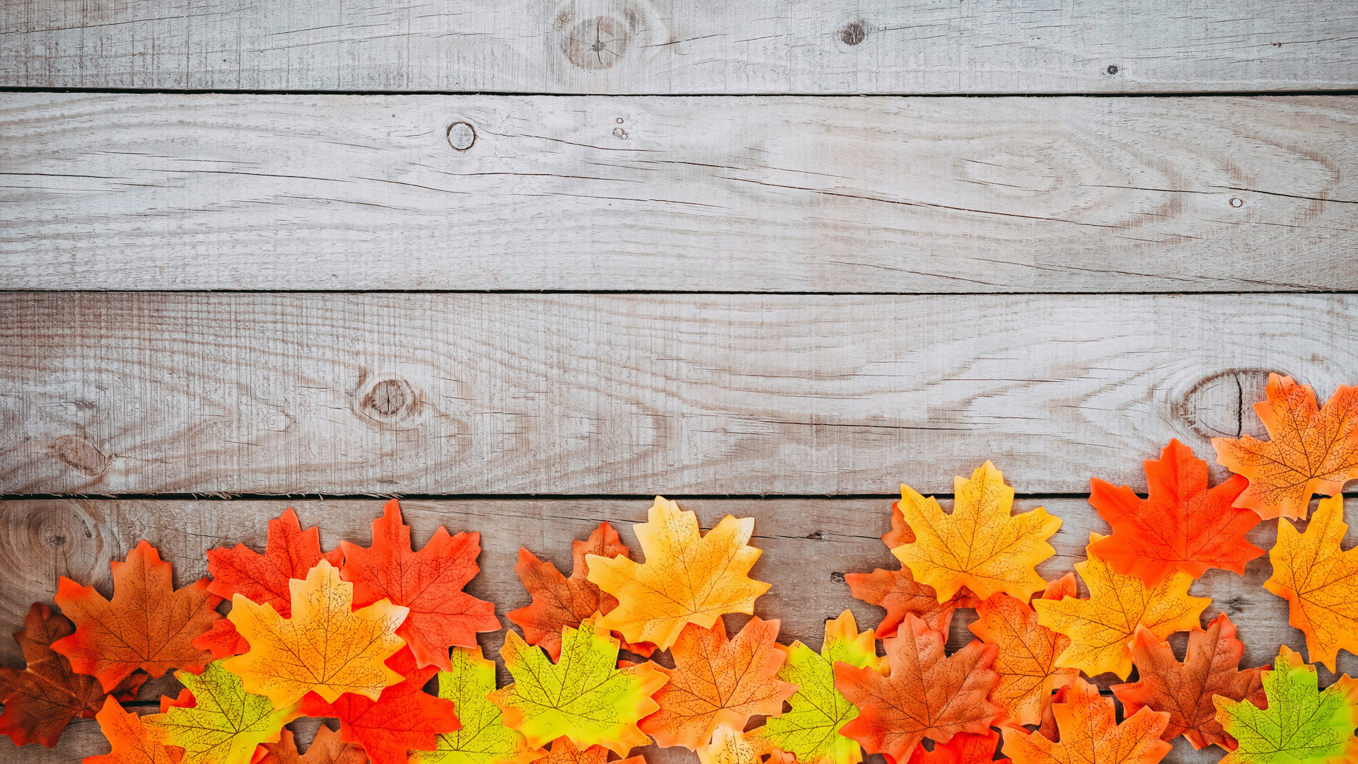 Картинки осень, листья, фон, дерево, colorful, wood, background, autumn,  leaves, осенние, maple - обои 1920x1080, картинка №464903